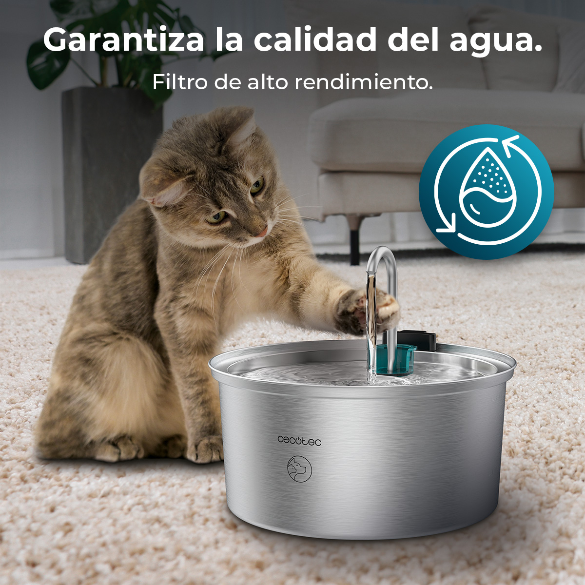 Gato bebiendo agua de una fuente de acero inoxidable sobre una alfombra.
