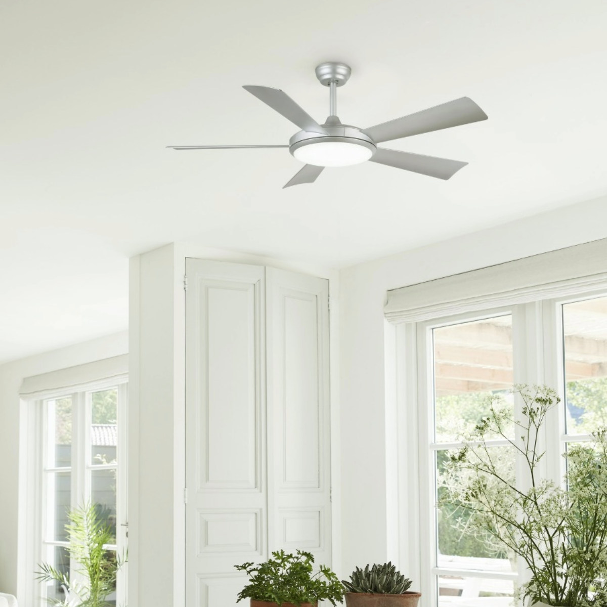Ceiling fan with five silver blades and a light. White ceiling and background.