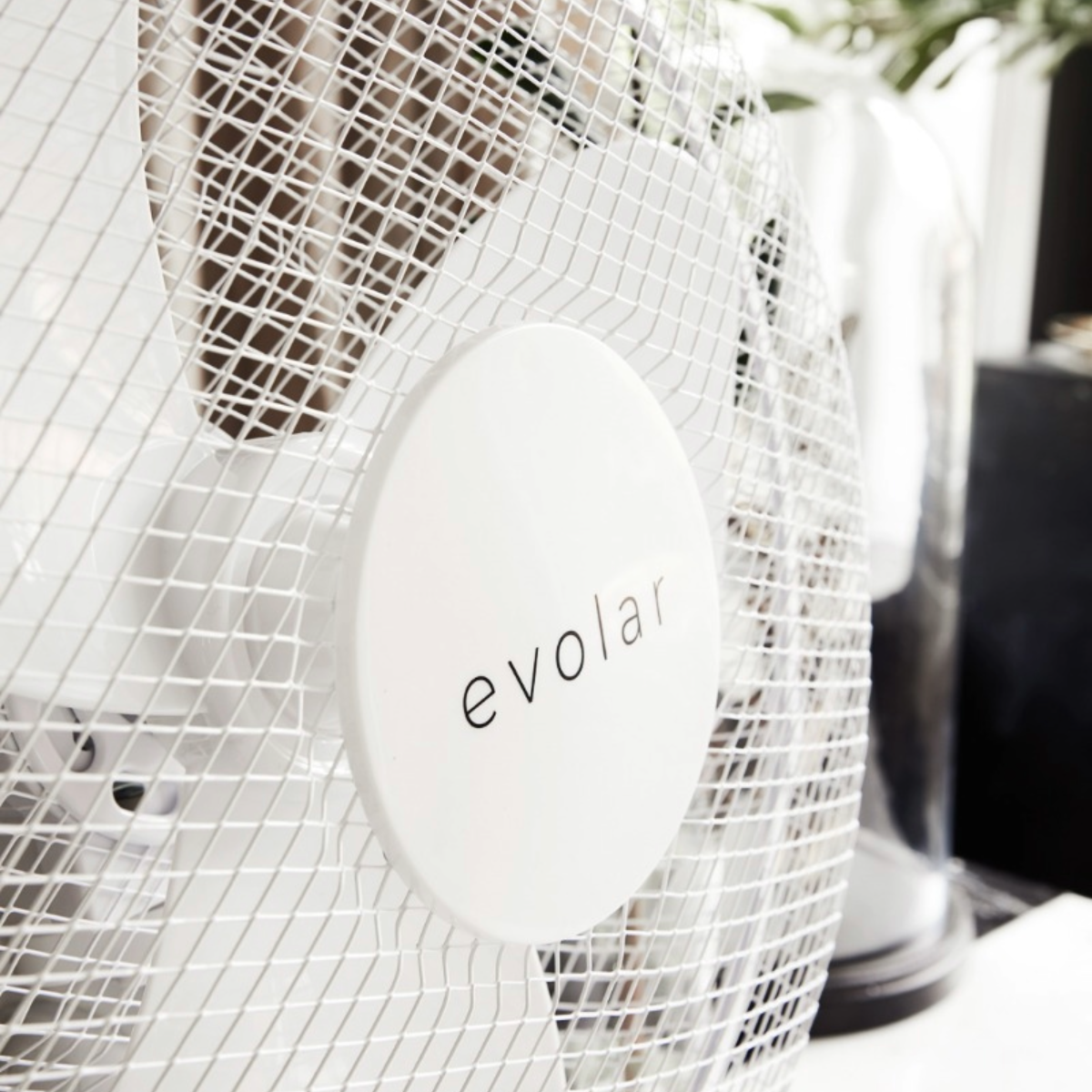 Close-up of a white fan with the word 'evolar' on a central white circle.