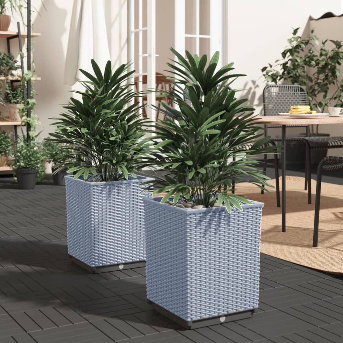 Zwei Topfpflanzen in hellblauen quadratischen Pflanzgefäßen auf einer Terrasse.