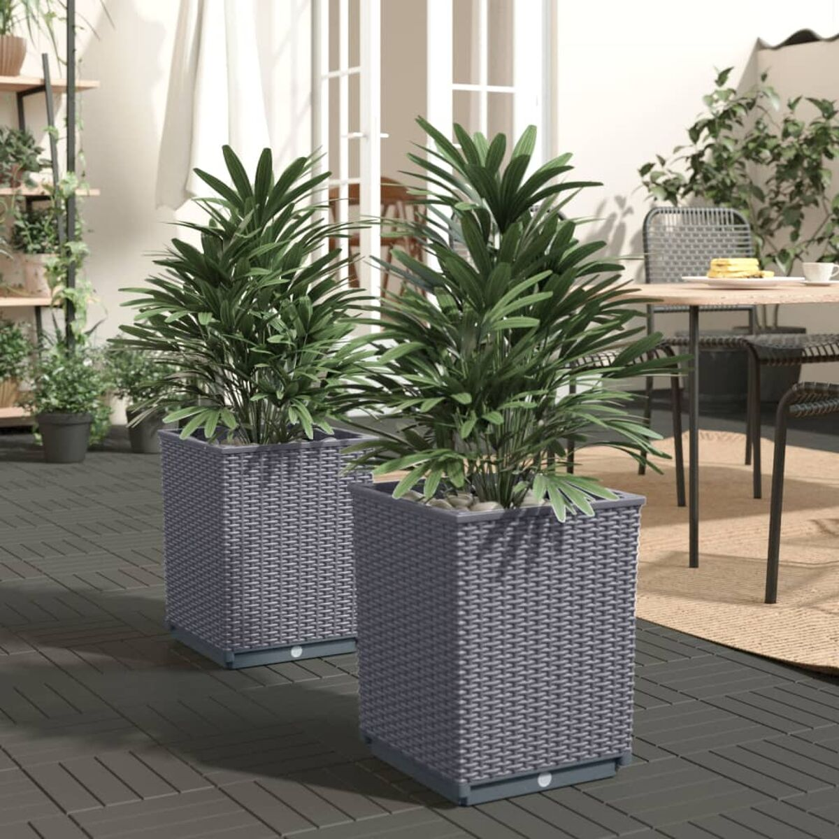 Zwei graue Korbgeflecht-Pflanzgefäße mit grünen Pflanzen. Auf einem dunklen Holzdeck platziert. Sonniger Tag.