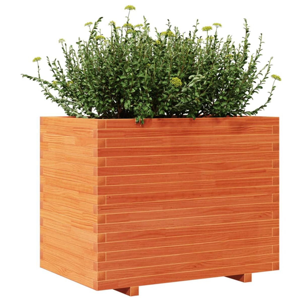 Braune Holzpflanzkasten mit grünen Pflanzen. Die Box hat sichtbare Holzmaserung.