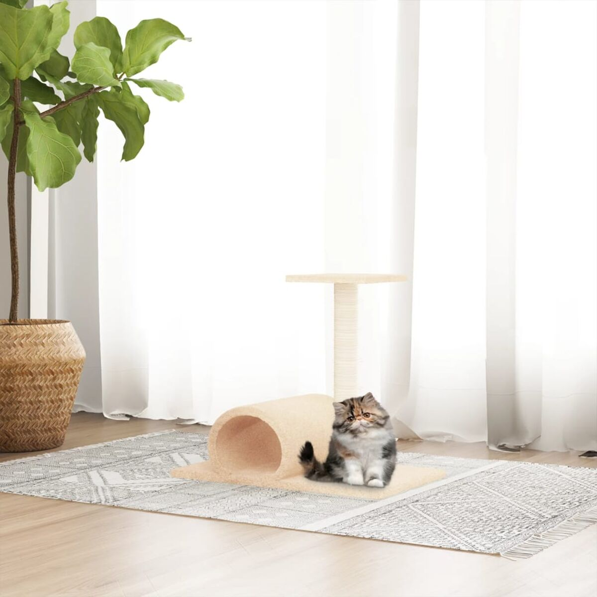 Eine Katze sitzt auf einem gemusterten Teppich in der Nähe eines Kratzbaums und einer großen Pflanze.