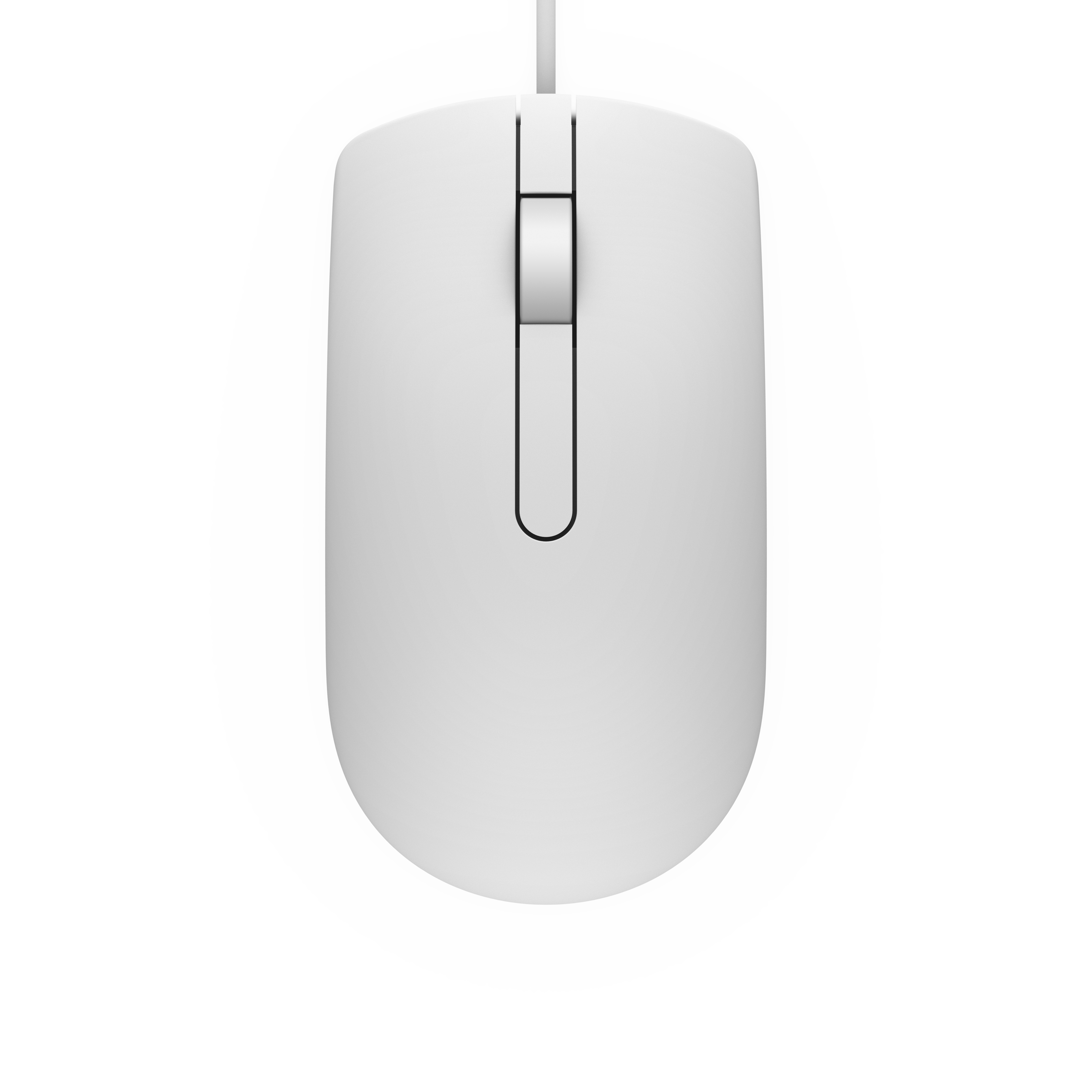 Vista dall'alto di un mouse bianco. Ha una rotella e un design semplice e simmetrico.