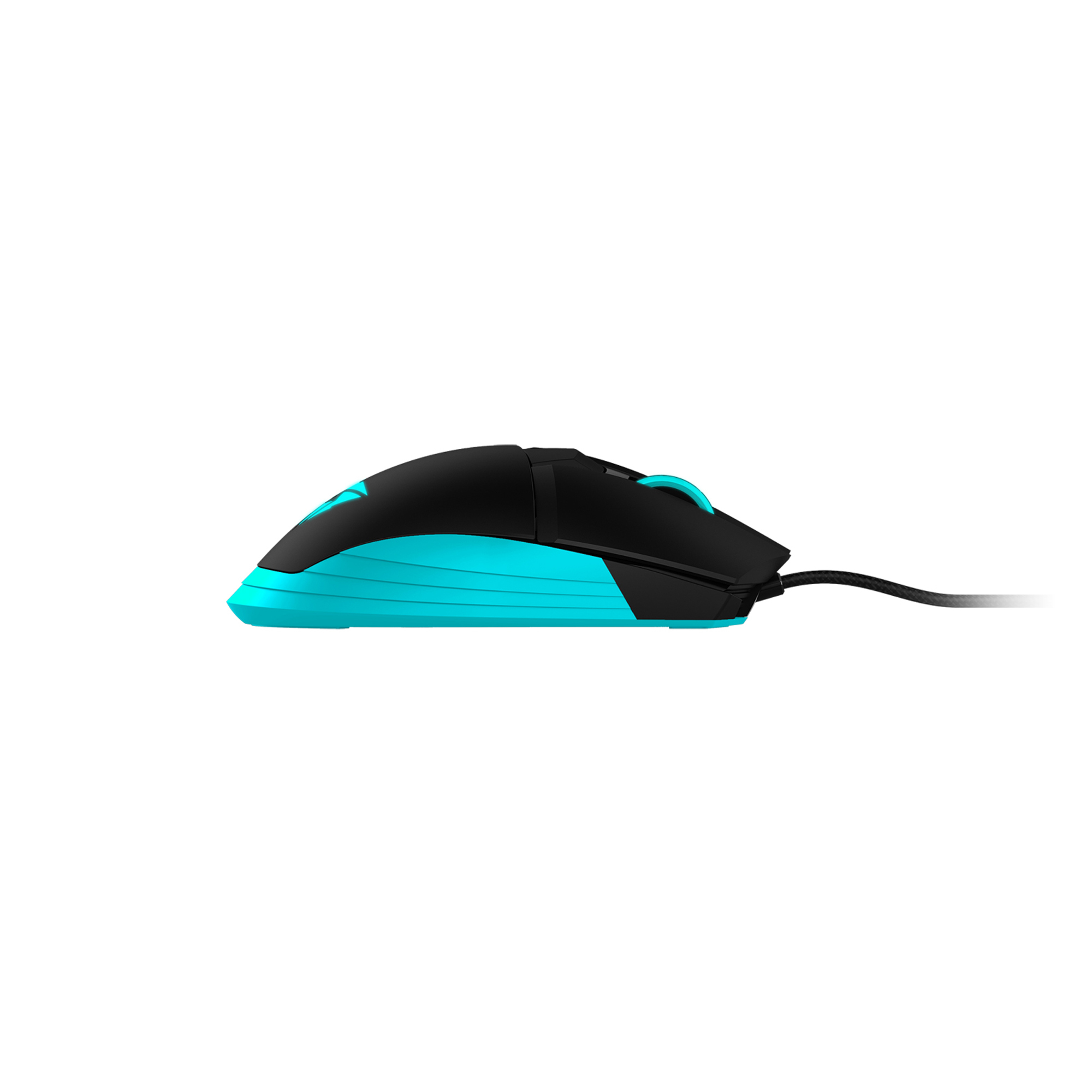 Mouse nero e turchese su sfondo bianco, vista laterale.