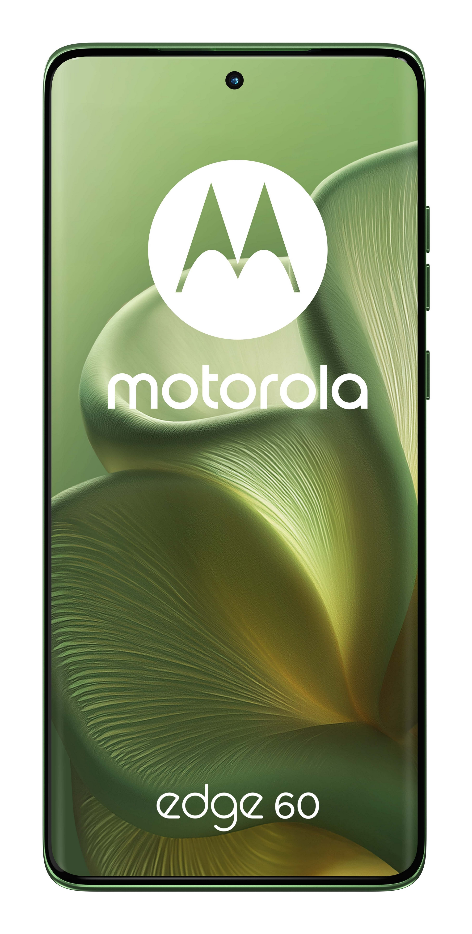 Zielony smartfon Motorola Edge 60 z kwiatowym tłem na wyświetlaczu.