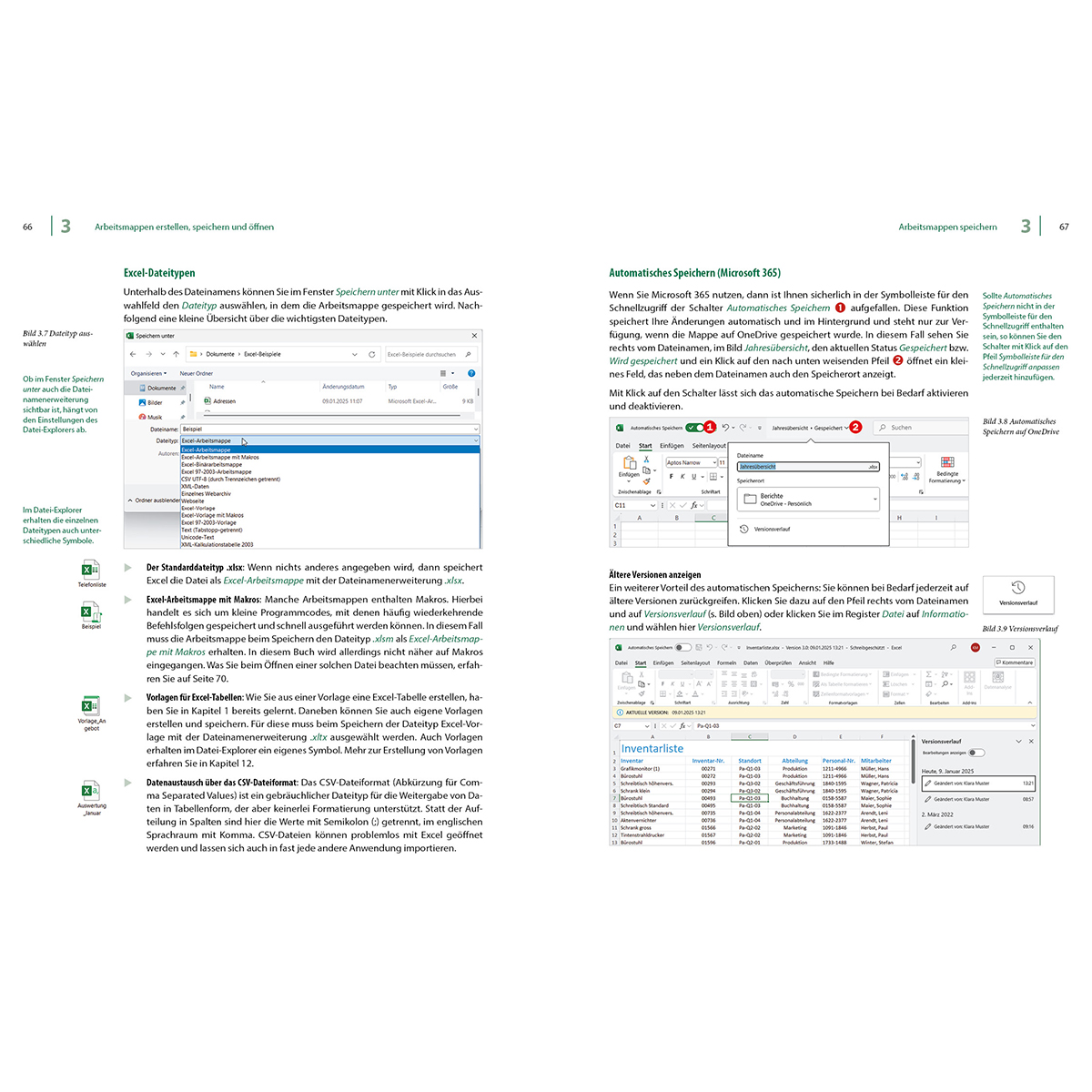 Ein offenes Buch zeigt Seiten mit Text und Software-Screenshots. Der Fokus liegt auf Excel-Funktionen.