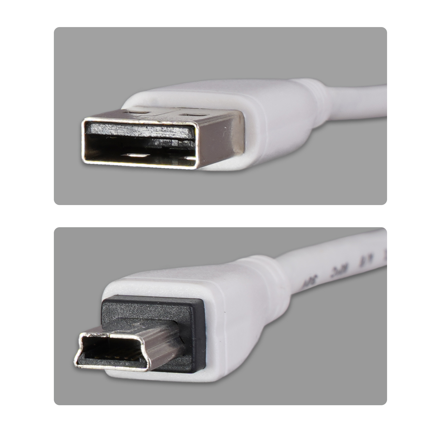 Nahaufnahme von USB- und Mini-USB-Anschlüssen an einem weißen Kabel. Grauer Hintergrund, zwei Anschlüsse werden gezeigt.
