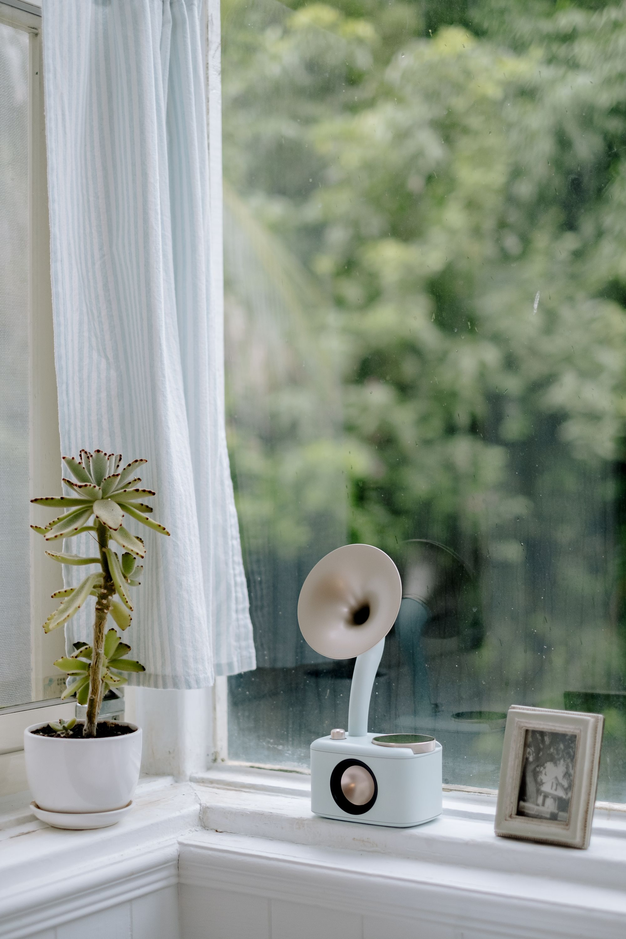 Scena z oknem, rośliną, zasłoną i głośnikiem w stylu retro.