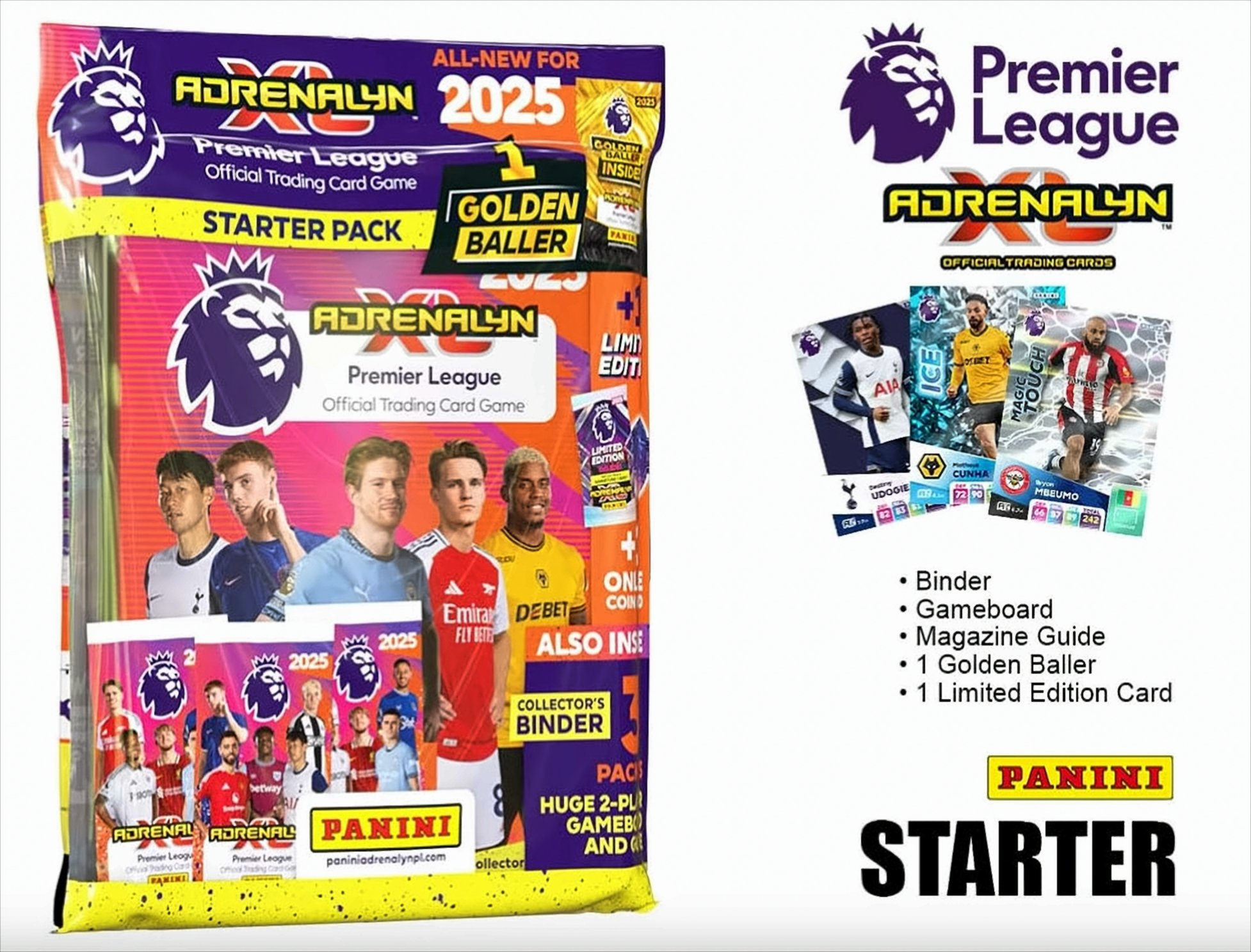 Ein Premier League Fußball-Starterpaket mit Karten und dem Panini-Logo.