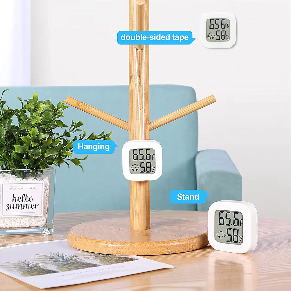 Ein Holzständer hält ein Thermometer, mit anderen Thermometern und einer Pflanze im Hintergrund.