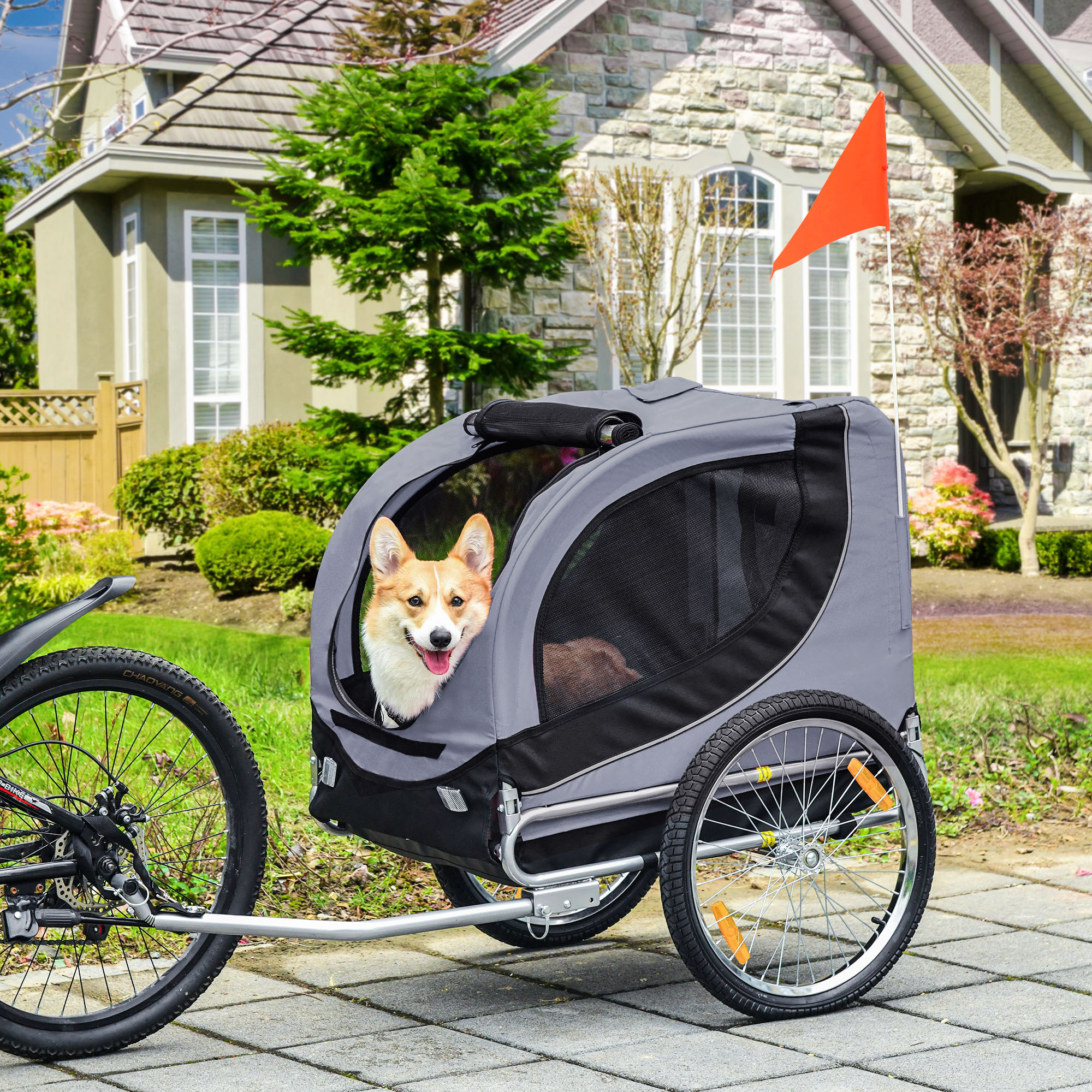 Ein Hund in einem grauen Anhänger, der von einem Fahrrad gezogen wird. Haus und Flagge im Hintergrund.
