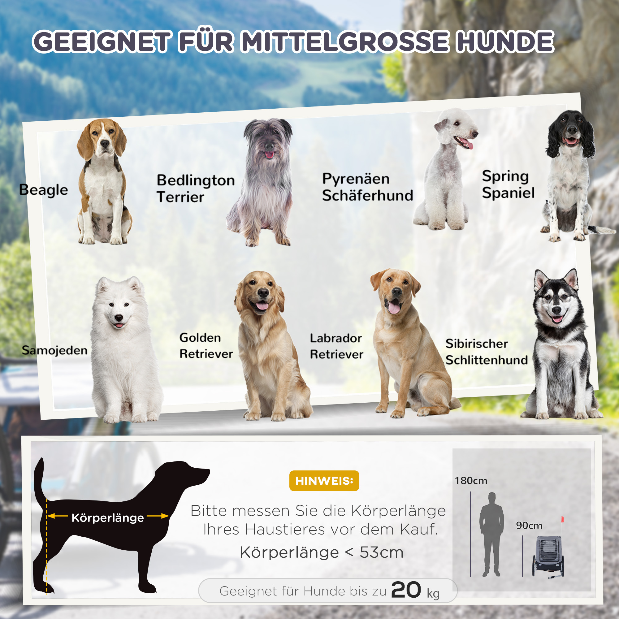 Bild verschiedener Hunderassen mit einer Größenvergleichstabelle. Text auf Deutsch.