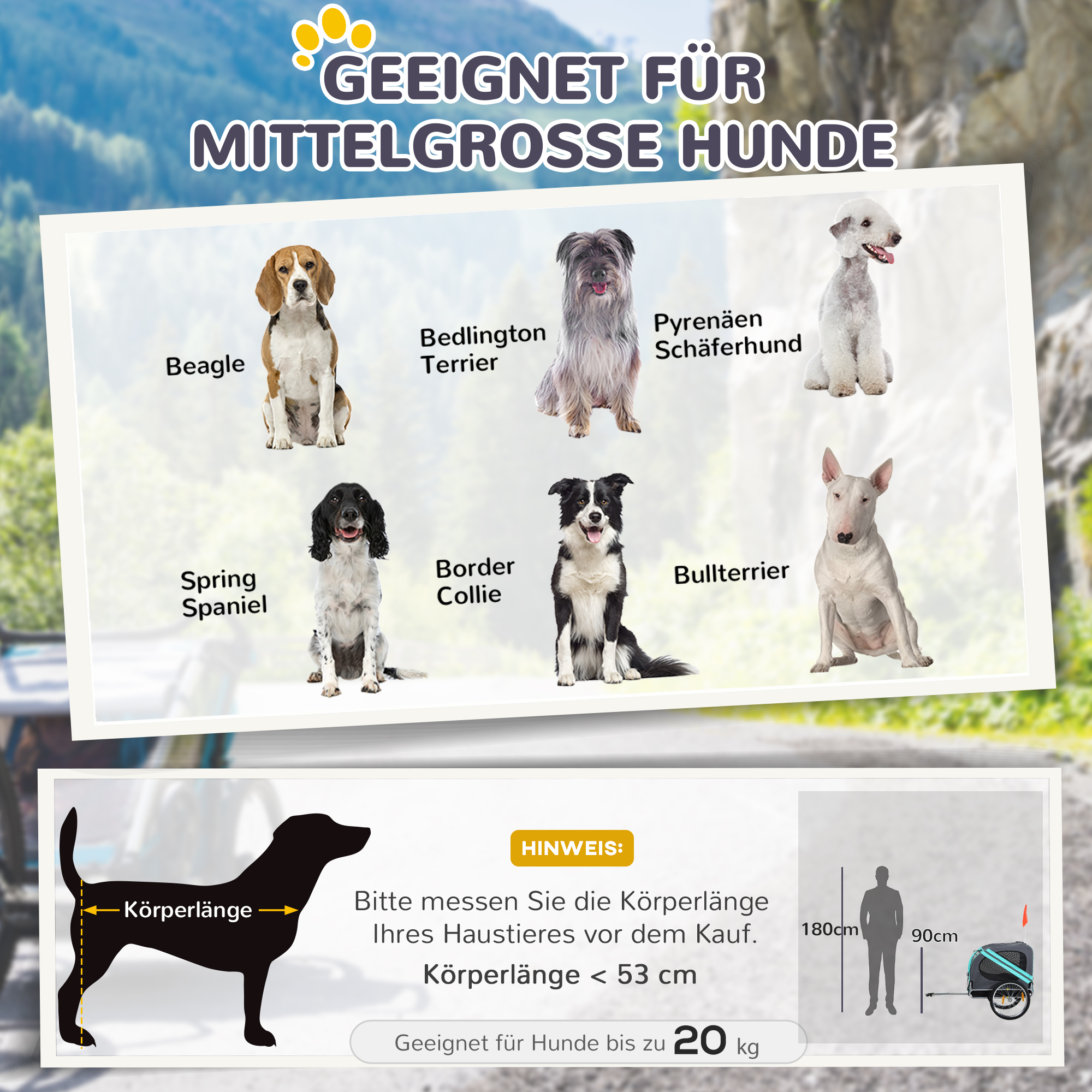 Bild zeigt verschiedene Hunderassen: Beagle, Bedlington Terrier, Pyrenäen-Schäferhund, Spring Spaniel, Border Collie, Bullterrier.
