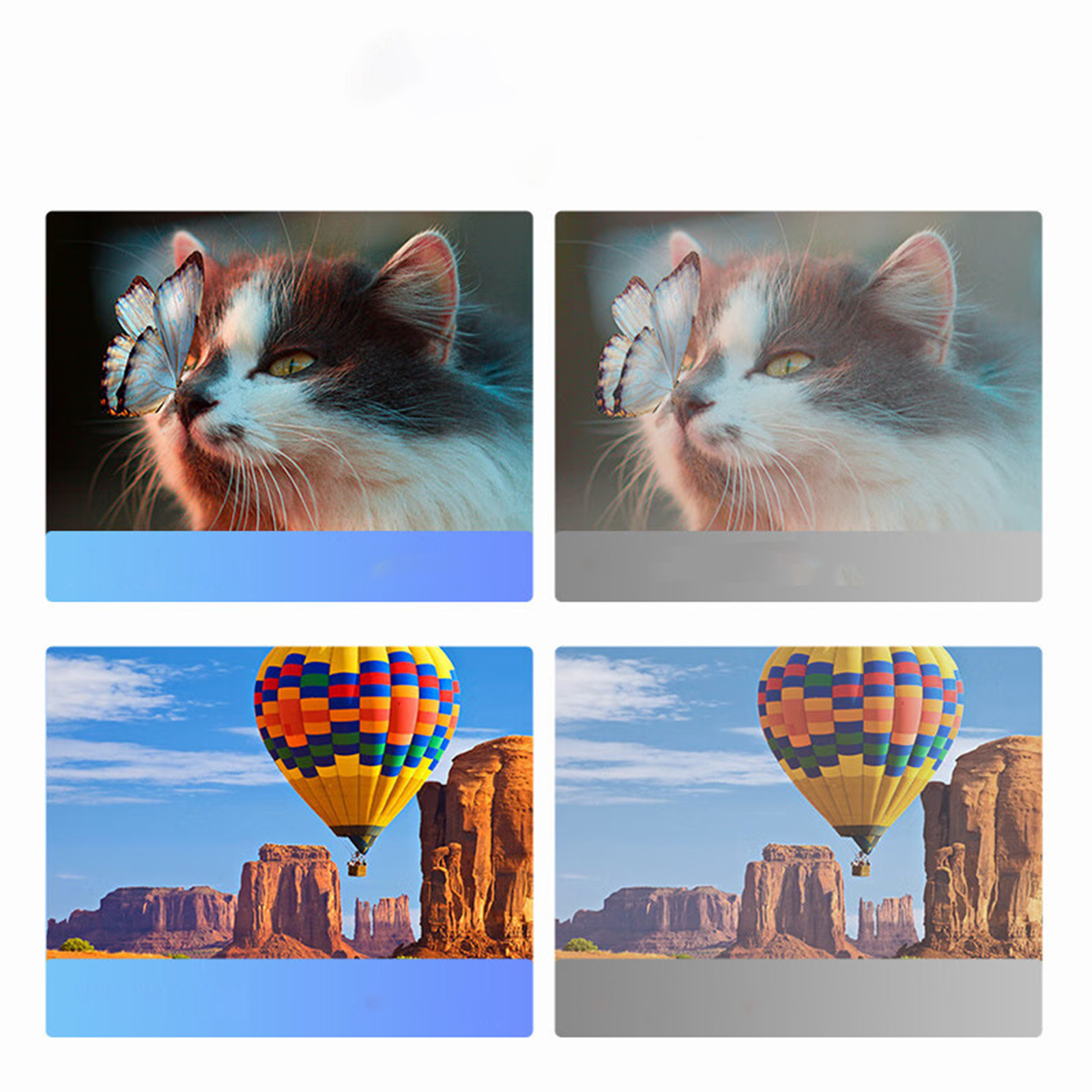 Zwei Bildpaare: eine Katze und ein Heißluftballon. Jedes Paar hat eine Normal- und eine Graustufenversion.