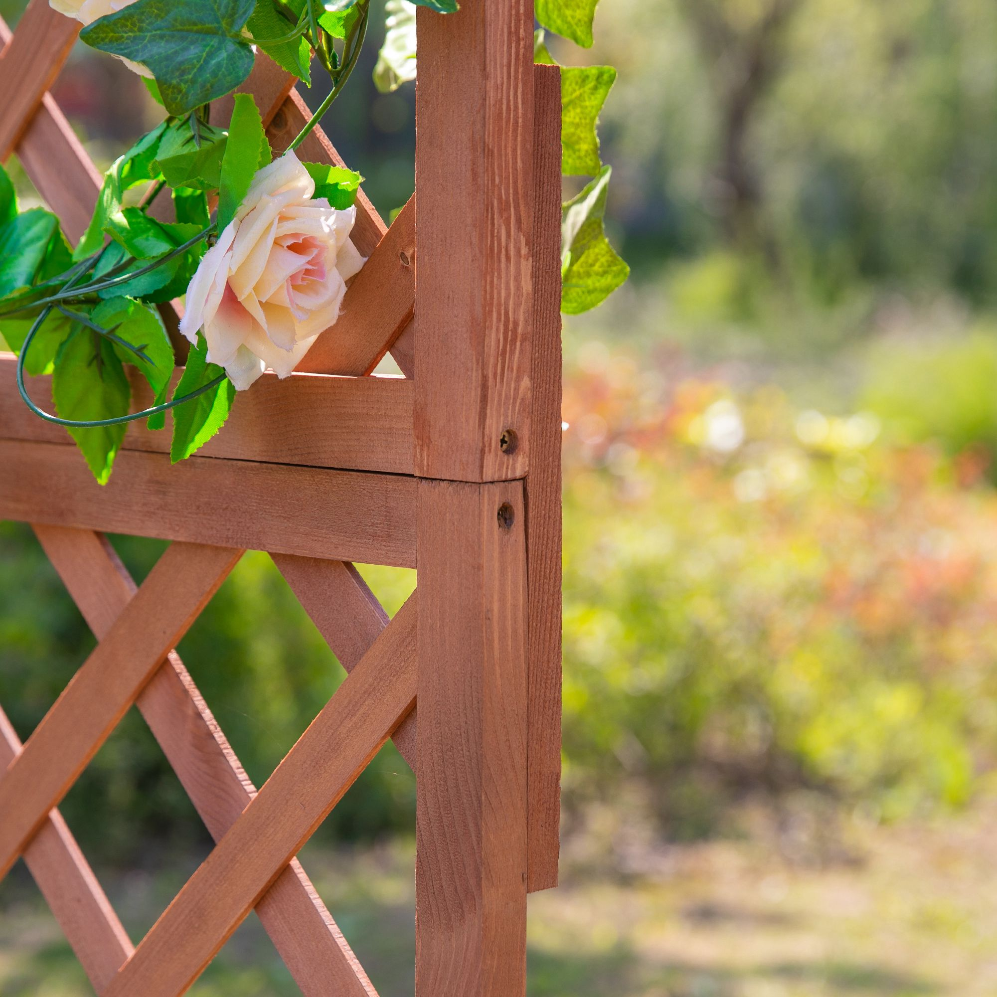 Nahaufnahme eines Holzspaliers mit Rose und grünen Blättern, vor verschwommenem grünem Hintergrund.