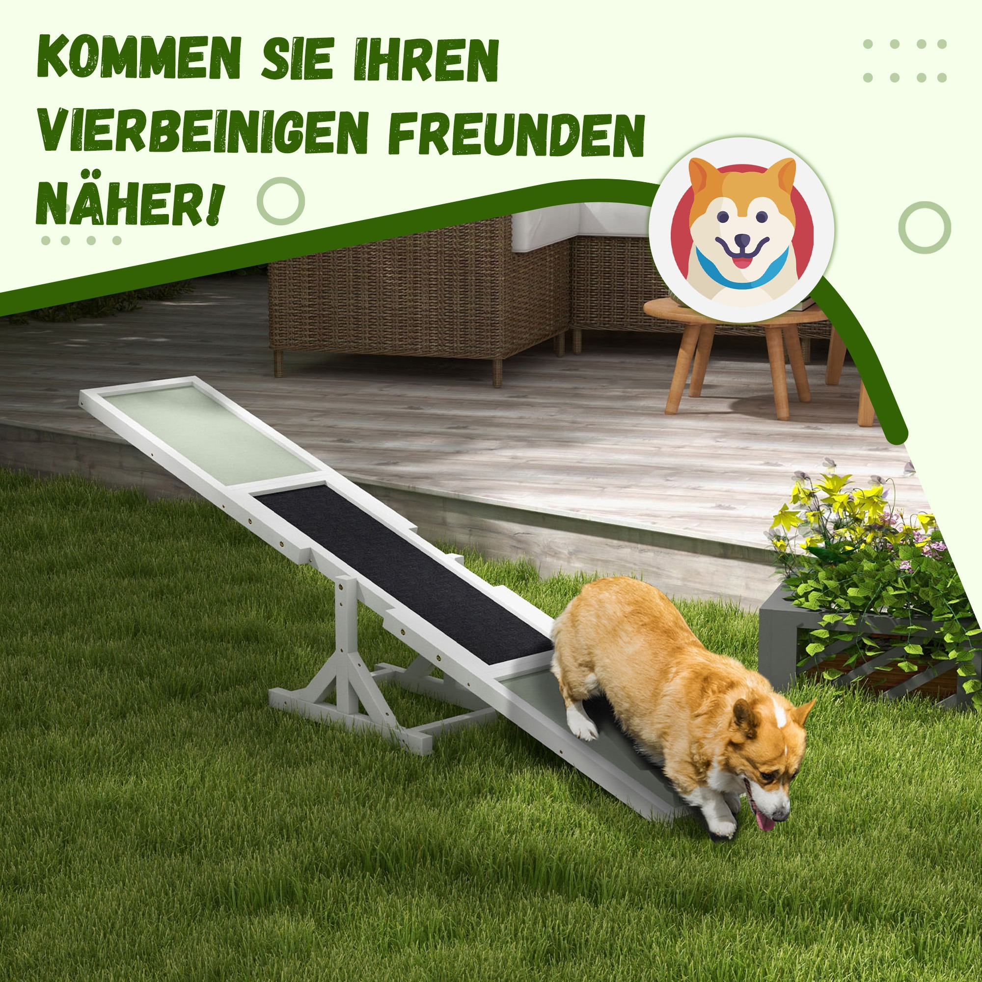 Hund geht eine Rampe hinunter. Text: 'KOMMEN SIE IHREN VIERBEINIGEN FREUNDEN NÄHER!'