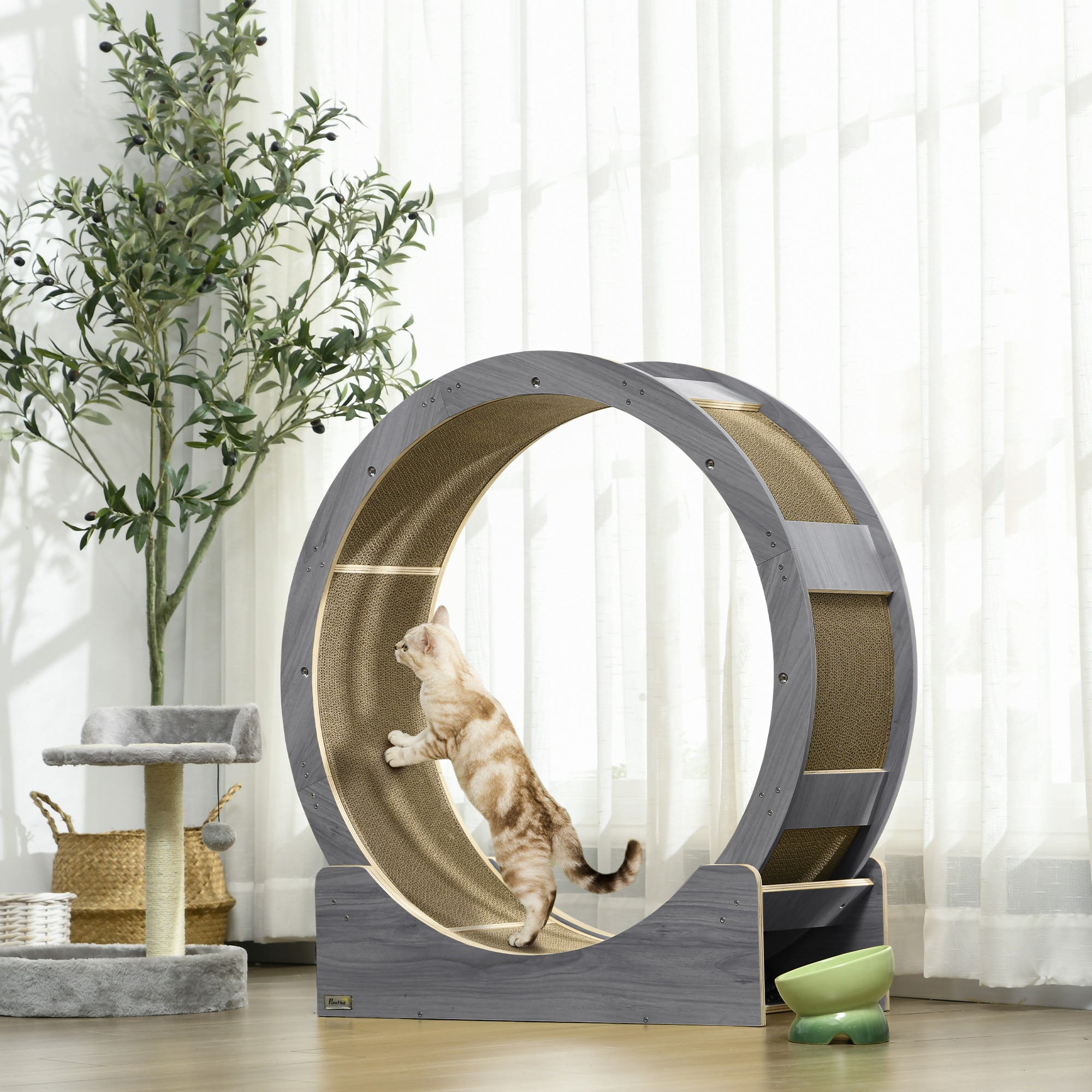 Katze, die auf einem grauen Katzenrad klettert und läuft. Im Hintergrund ein Kratzbaum und eine Pflanze.