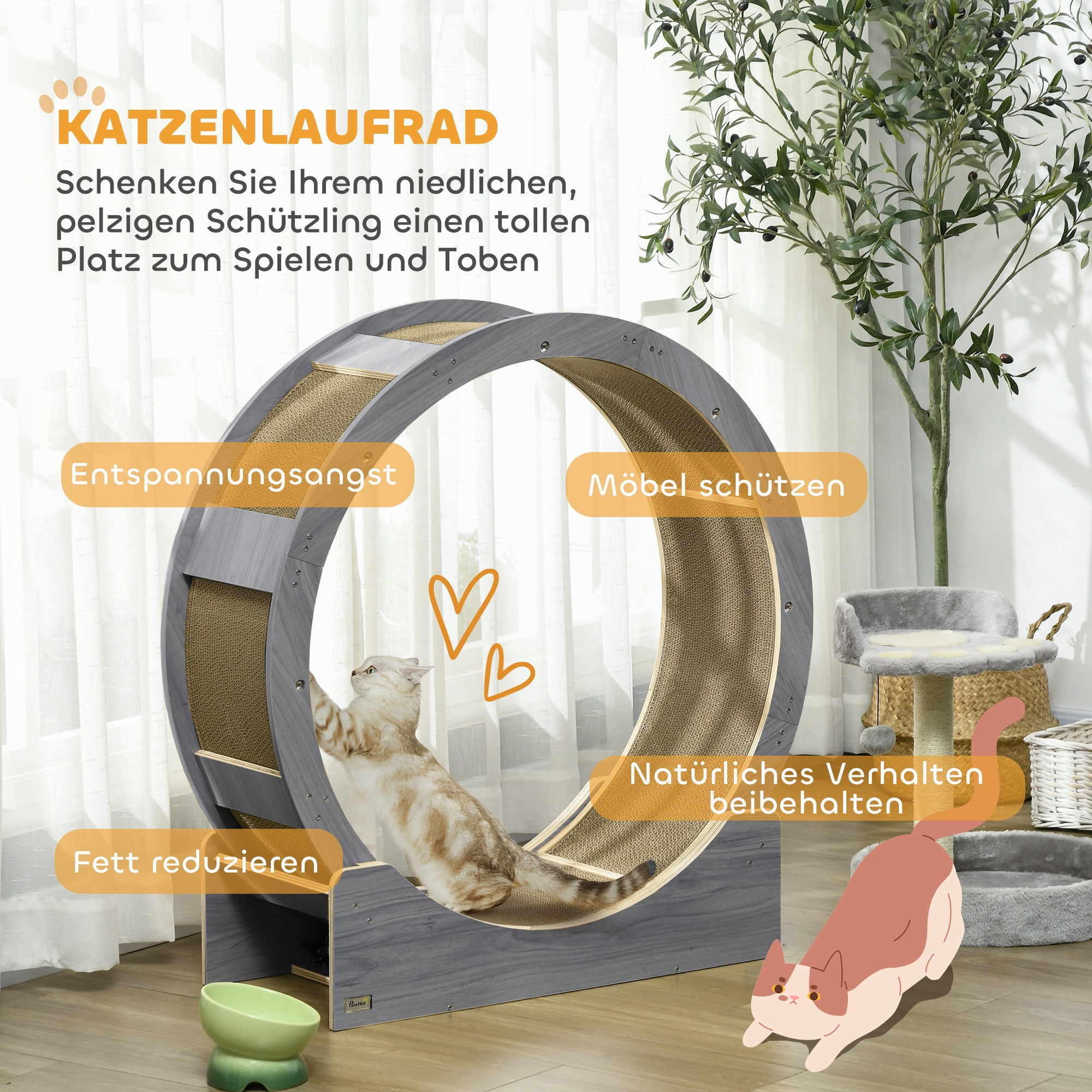 Eine Katze klettert auf einem kreisförmigen Katzenspielzeug.