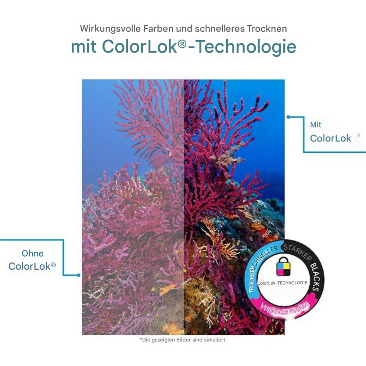 Vergleich von Korallenriffbildern, eines mit ColorLok-Technologie, Farbunterschied.