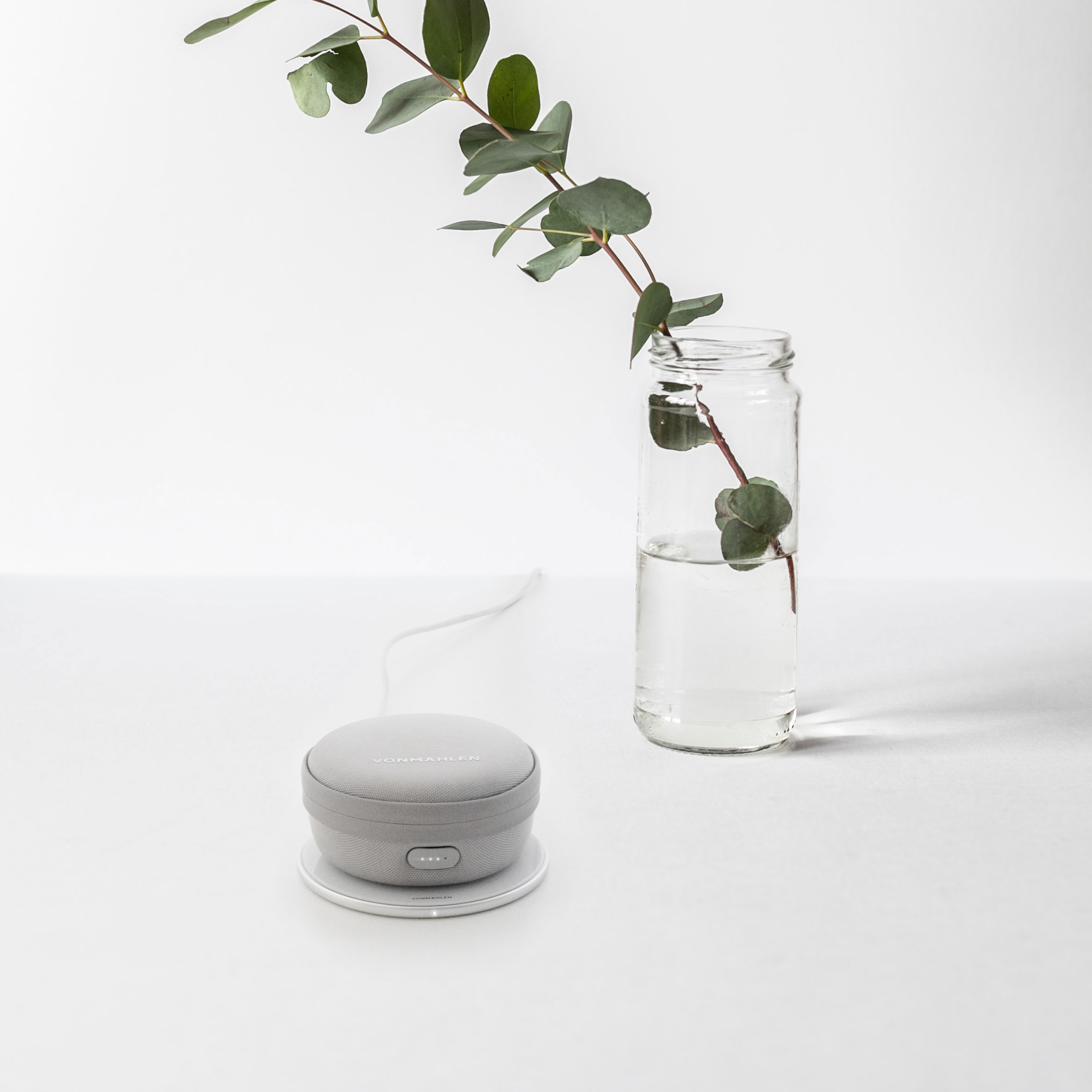Ein kleiner grauer Lautsprecher auf weißer Oberfläche. Eine Vase mit einer grünen Pflanze im Hintergrund.