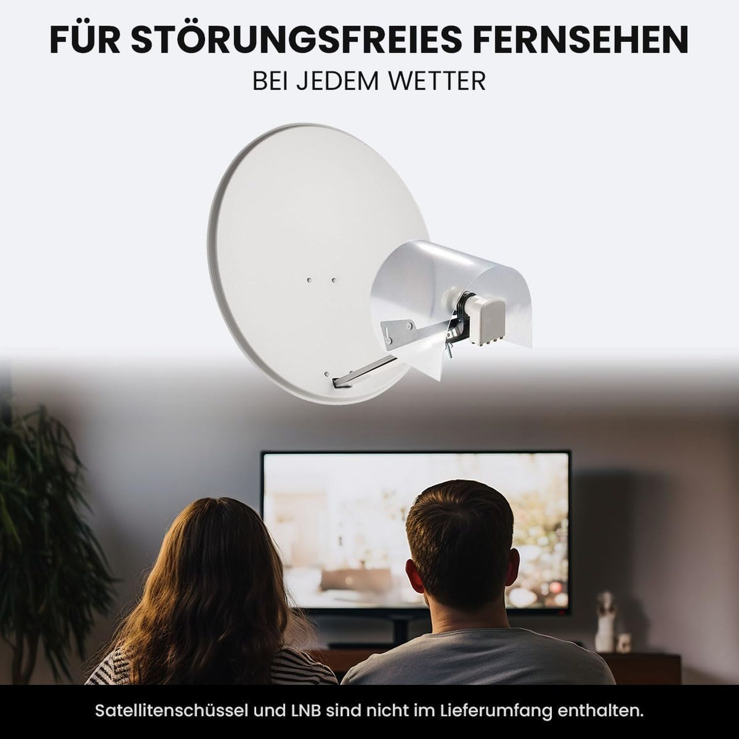 Personen schauen fern, mit Satellitenschüssel und Text: 'Für störungsfreies Fernsehen bei jedem Wetter'.