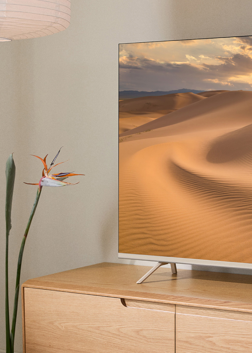 Pantalla de TV mostrando un paisaje desértico, con flor en primer plano.