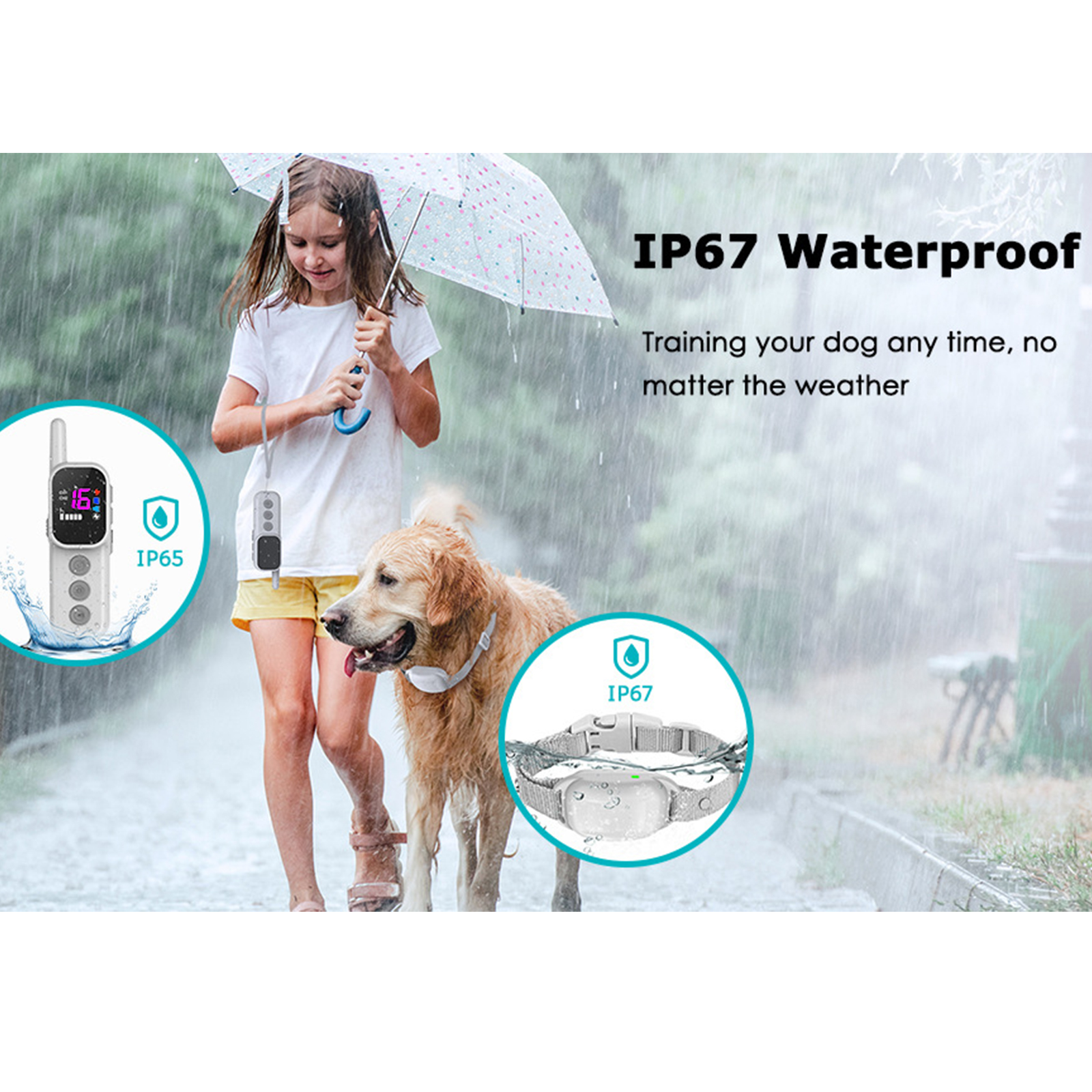 Ein Mädchen und ein Hund im Regen, die ein wasserdichtes Gerät zum Trainieren verwenden. Es regnet.