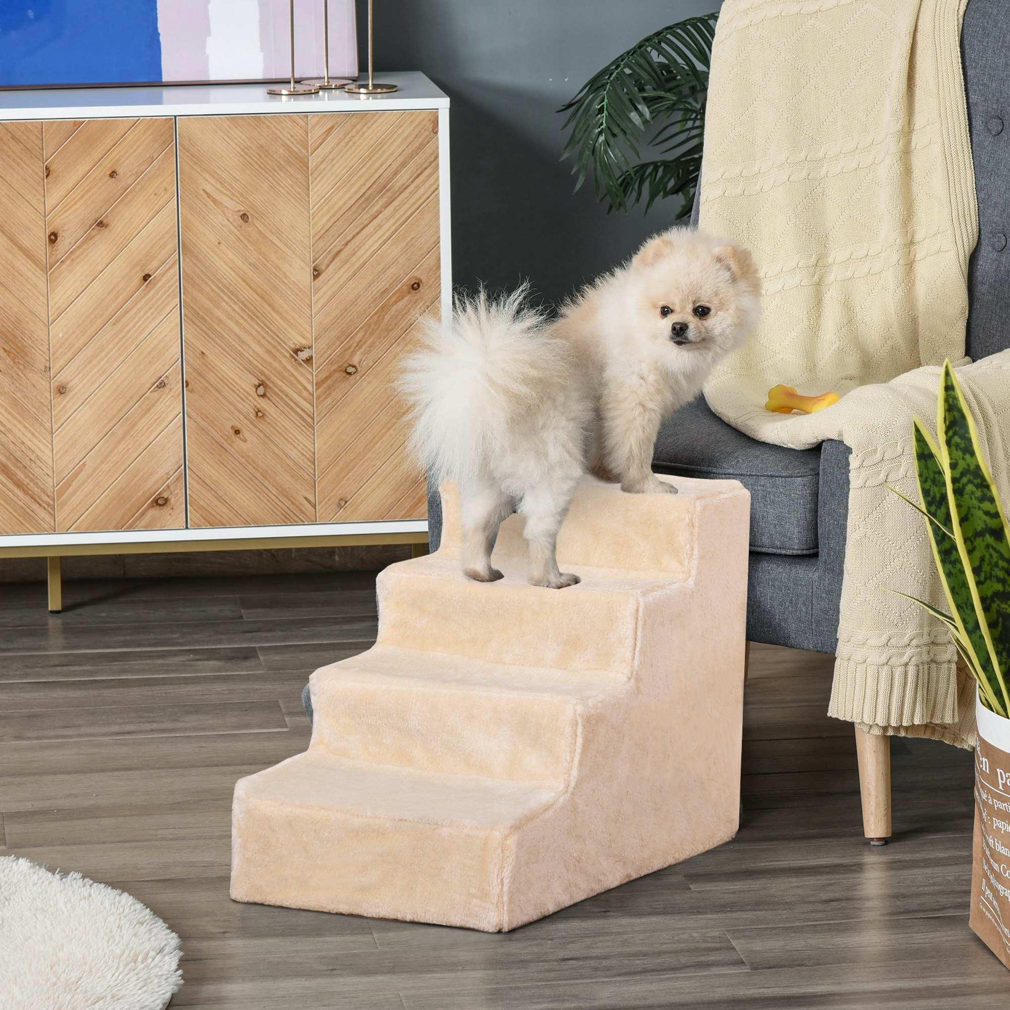 Kleiner Hund auf Stufen. Beige Stufen in einem Raum. Der Hund steht.