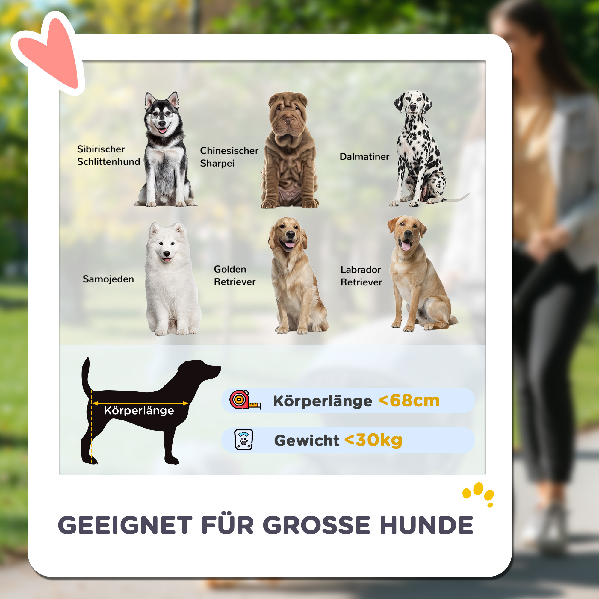 Bild mit verschiedenen Hunderassen mit Größenangaben. Text: Geeignet für große Hunde.