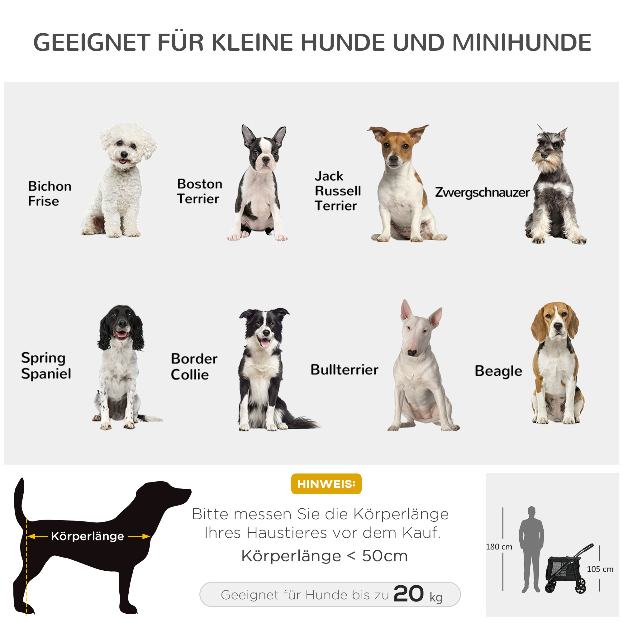Diagramm mit Hunderassen, Silhouette und Größenangaben.