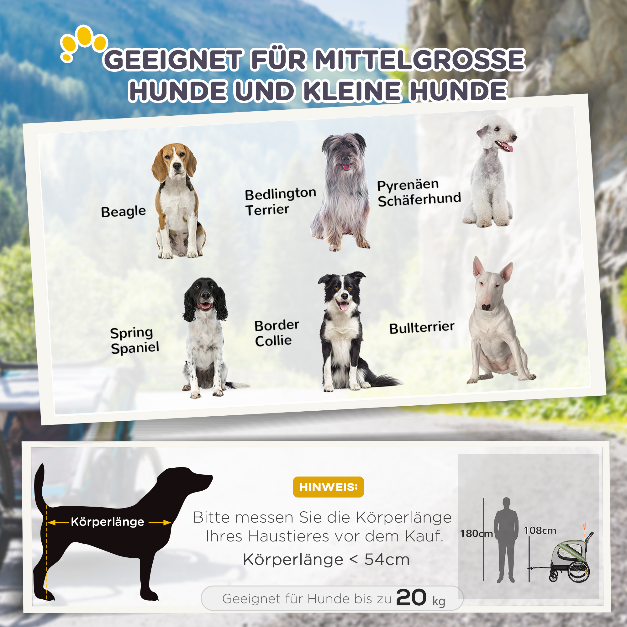 Bild mit Hunderassen: Beagle, Bedlington Terrier, Pyrenäenberghund usw. Informationen zur Hundegröße.