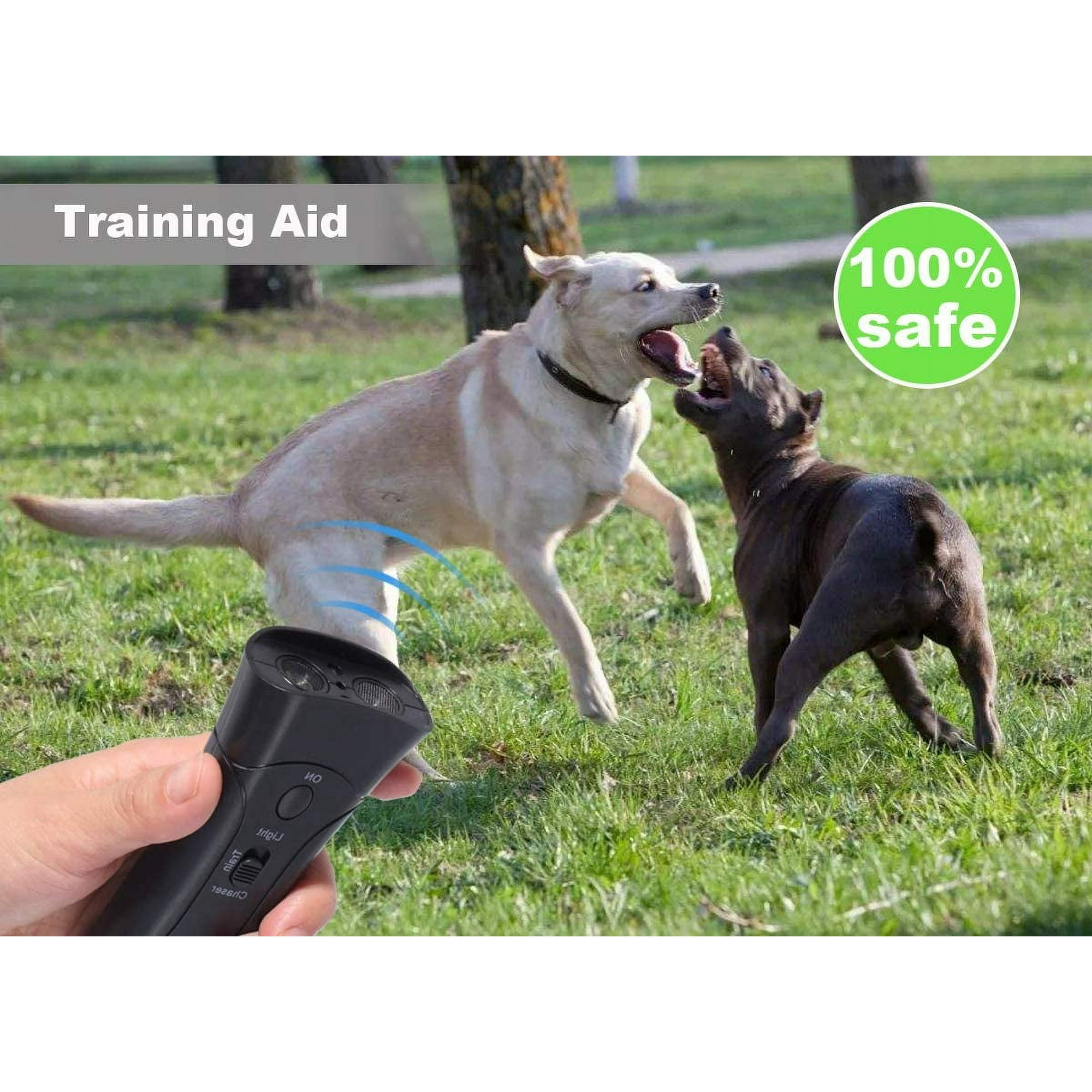 Zwei Hunde interagieren, einer mit offenem Maul. Eine Hand hält ein Hunde-Trainingsgerät in der Nähe.