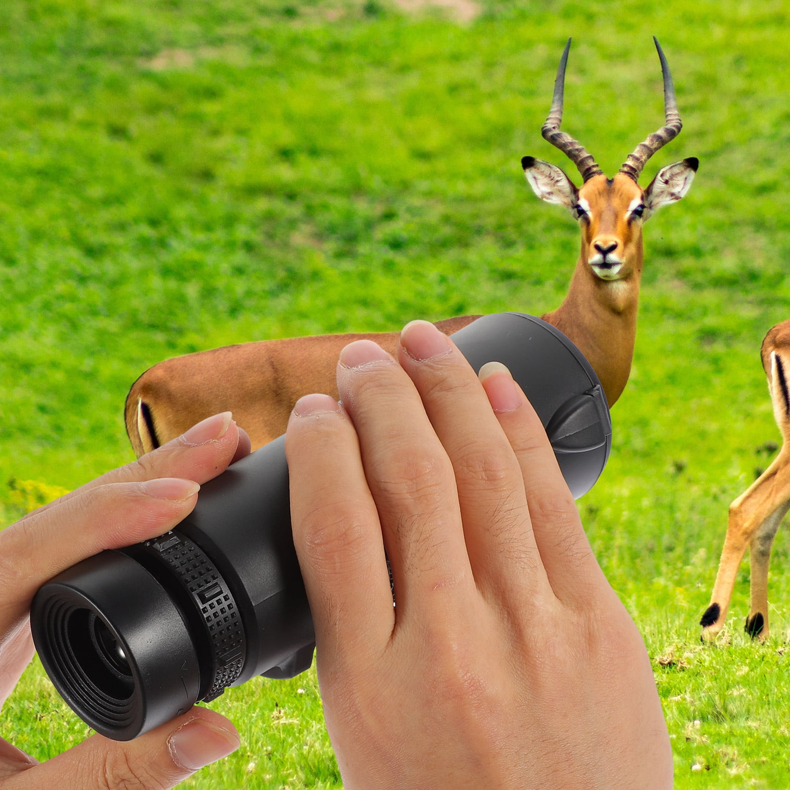 Eine Person hält ein schwarzes Monokular, mit einem Hirsch im Hintergrund, in einem grünen Feld.
