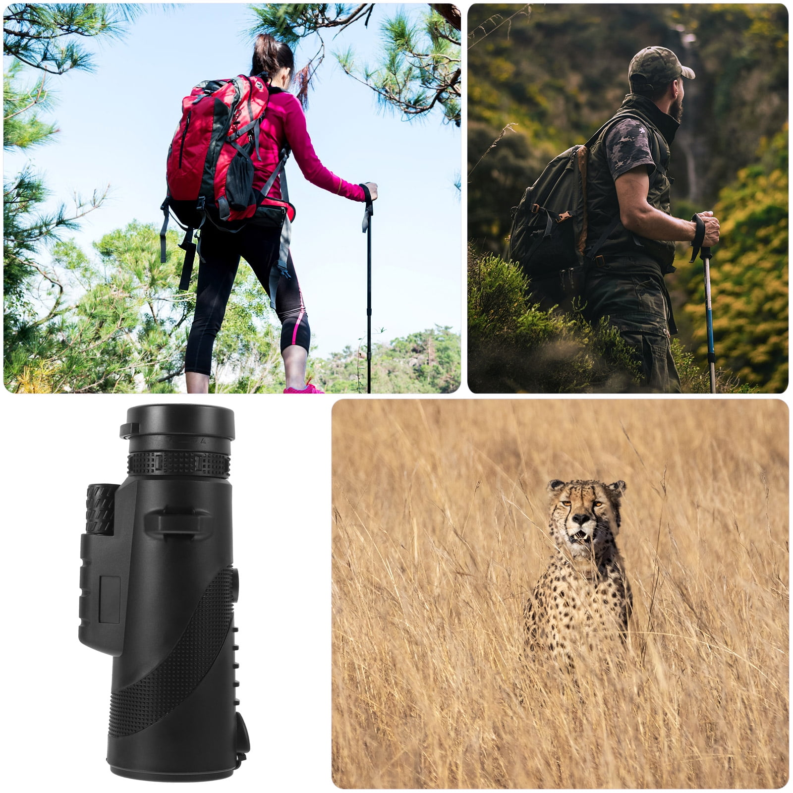 Vier Bilder: Wandern, Wandern mit Fernglas, Gepard im Gras und ein schwarzes Monokular. Verschiedene Szenen im Freien.