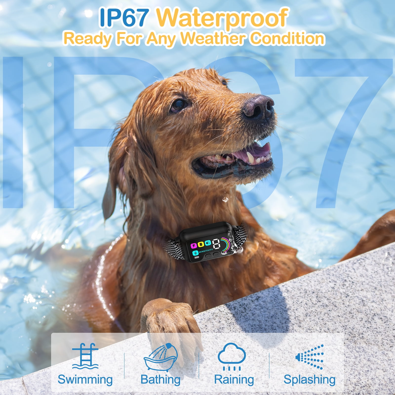 Ein Hund in einem Pool mit wasserdichtem Halsband, mit Aktivitäts-Icons.