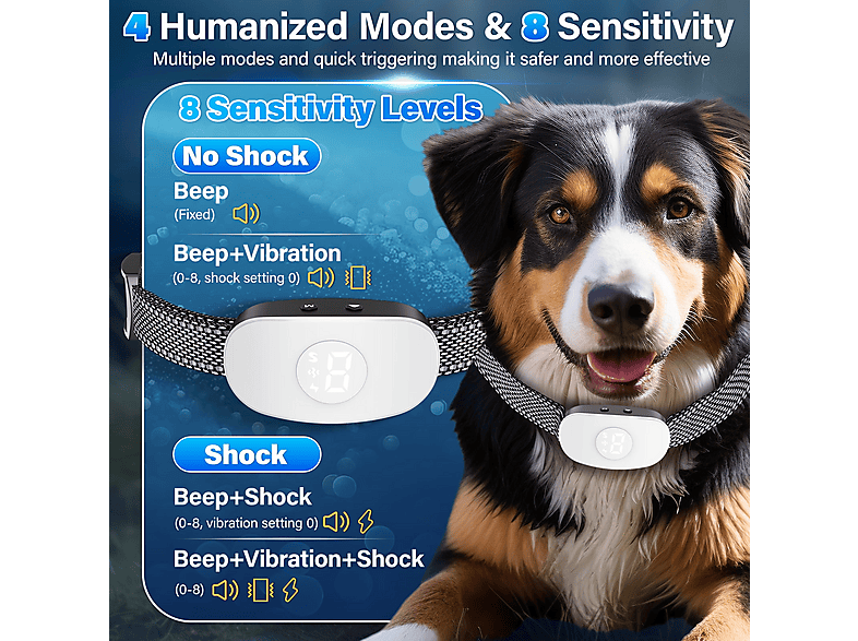 CRRYNUO Intelligenter Bellstopper mit Magnetsauger Hundetrainingsset |  MediaMarkt