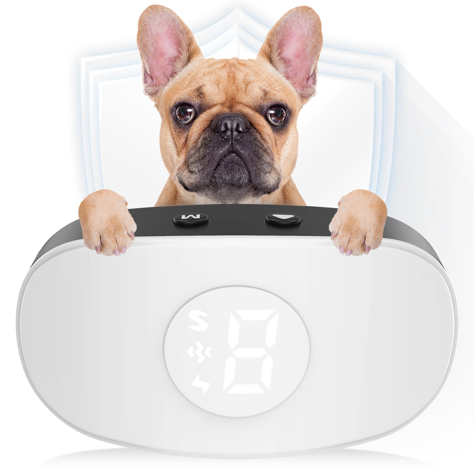 Eine französische Bulldogge mit einem Wecker, die Pfoten des Hundes liegen auf der Uhr, die Zeit wird angezeigt.