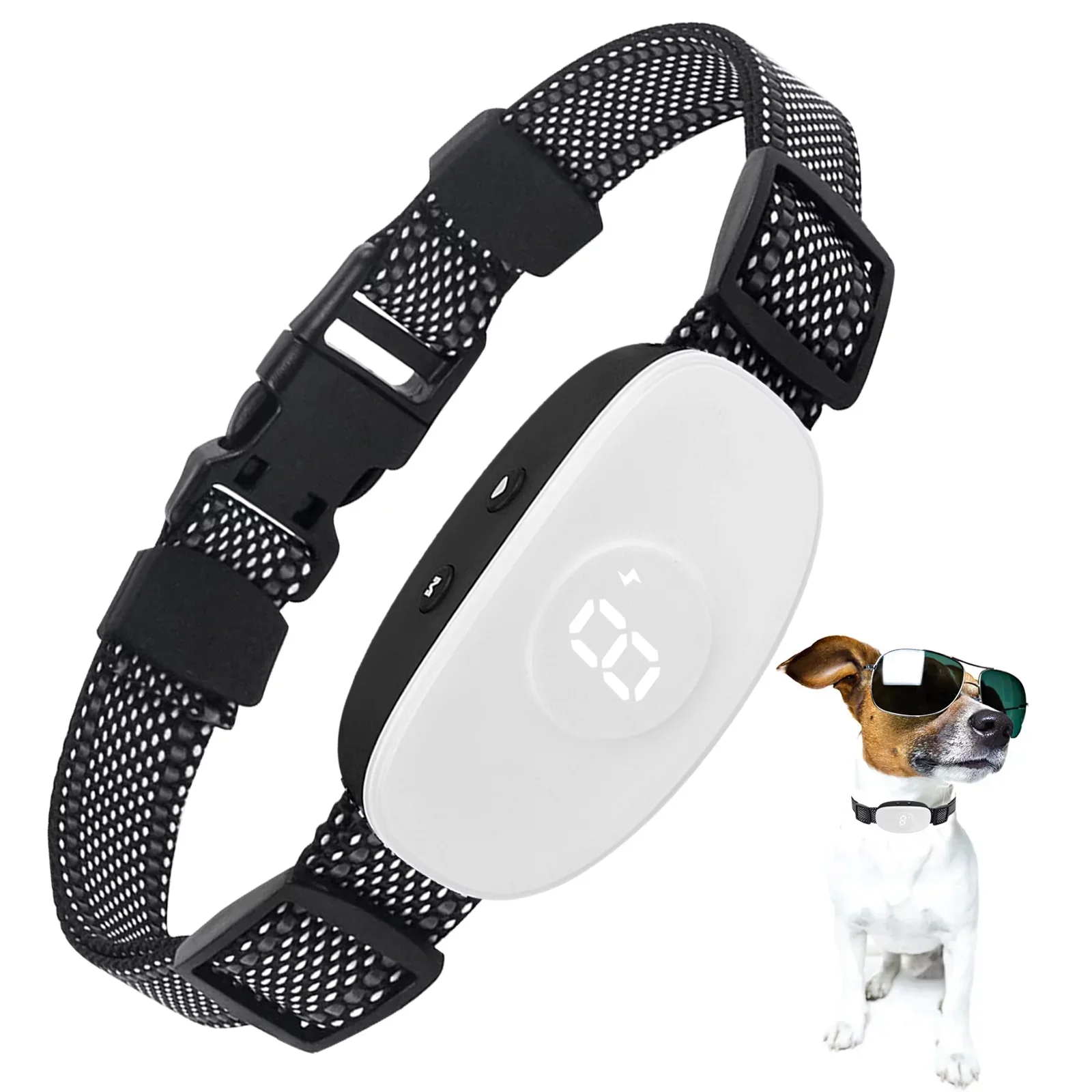 Schwarz-weißes Hundehalsband mit weißem Bedienfeld und Hund.