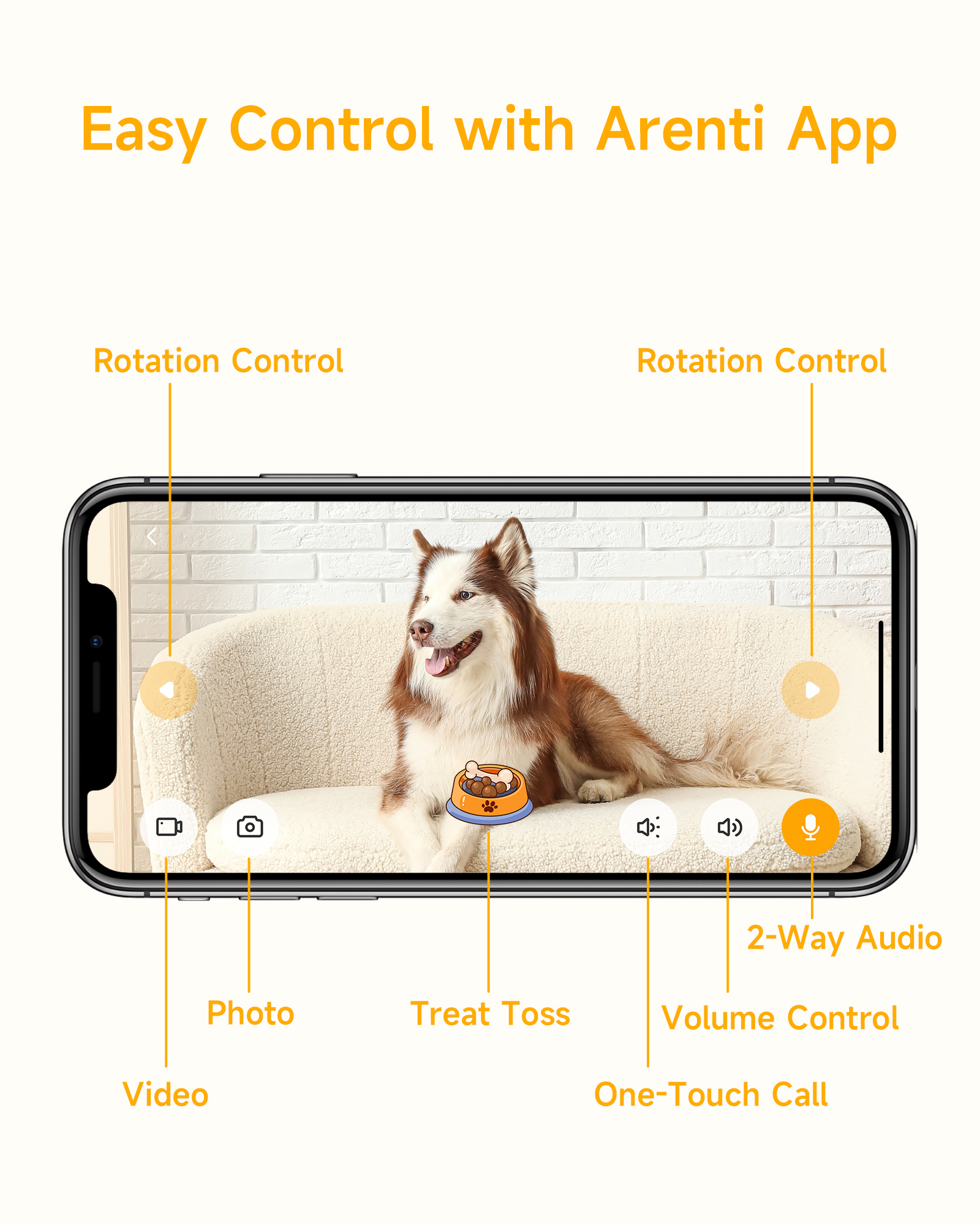 Telefon mit App-Oberfläche, die einen Hund auf der Couch zeigt, plus Steuerungsoptionen.