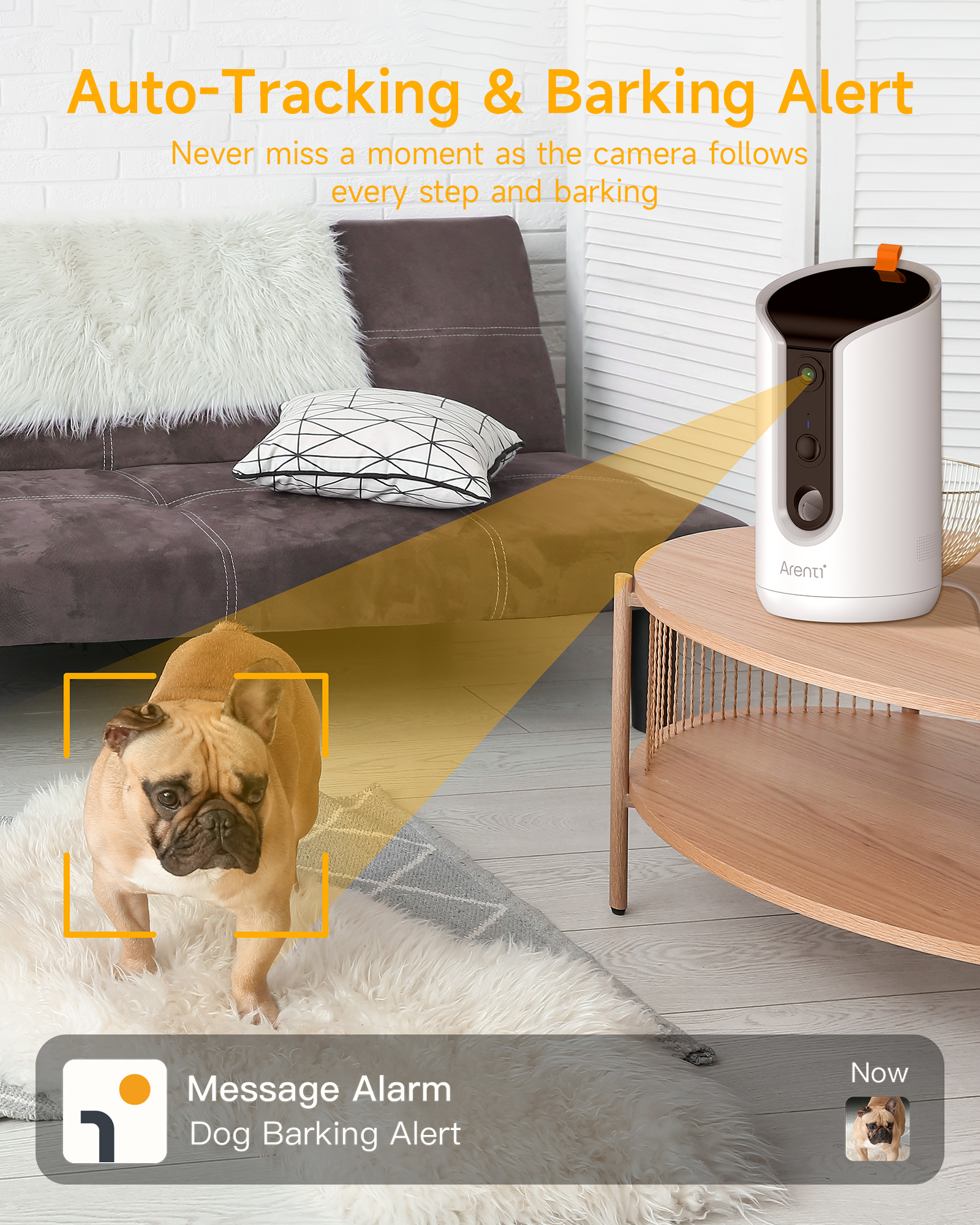 Hund vor einem Kamerasystem, mit Benachrichtigung für Bellen.
