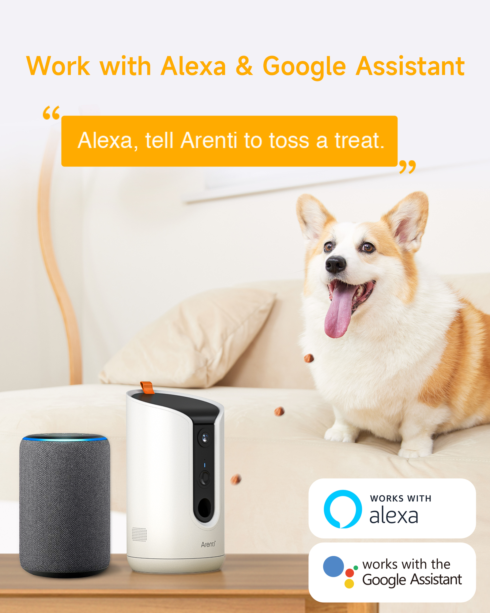 Hund, Alexa-Gerät und Leckerli-Spender mit Text: 'Arbeiten mit Alexa & Google Assistant'.