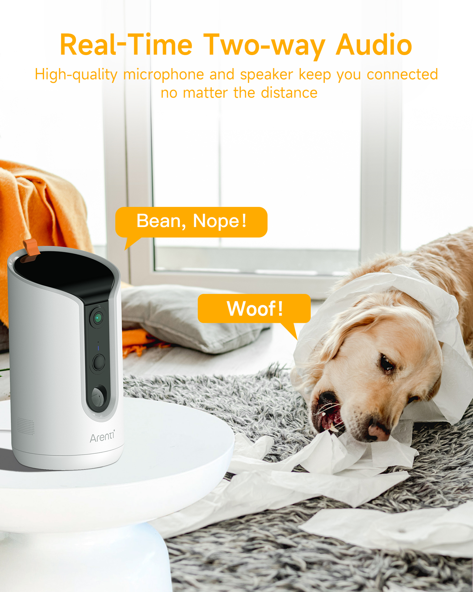 Hund, der Papier frisst, neben einem weißen Gerät, Textblasen: Bean, Nope! Woof!