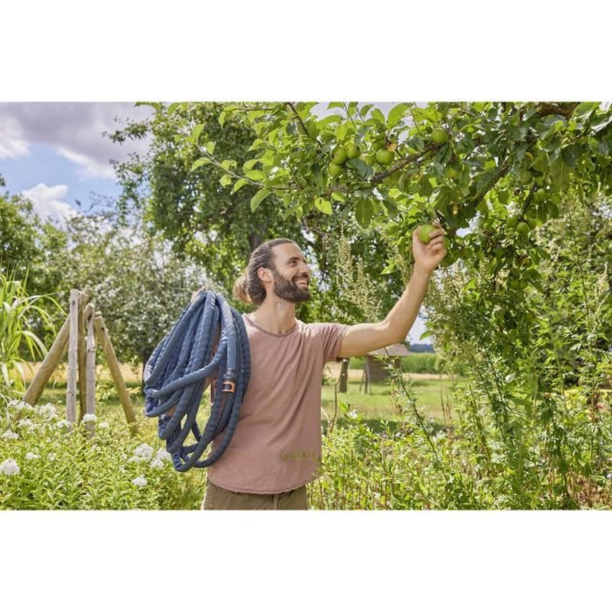 Mann pflückt grüne Äpfel vom Baum, hält blauen Schlauch, in einem Garten.