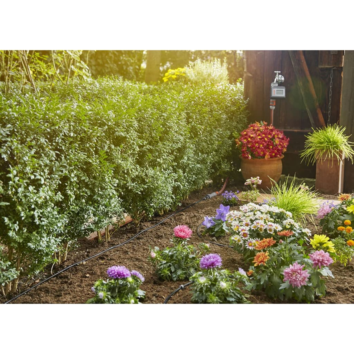 Eine Gartenszene mit Blumen, einer Hecke und einem Holztor mit Wasserhahn.