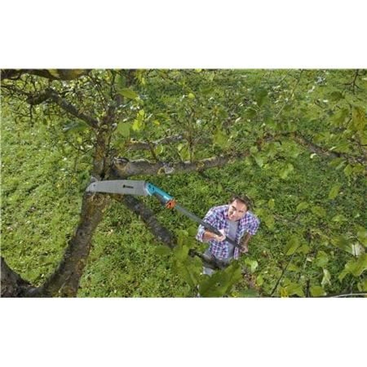 Mann im Baum schneidet Ast mit Teleskopsäge, umgeben von grünem Laub.