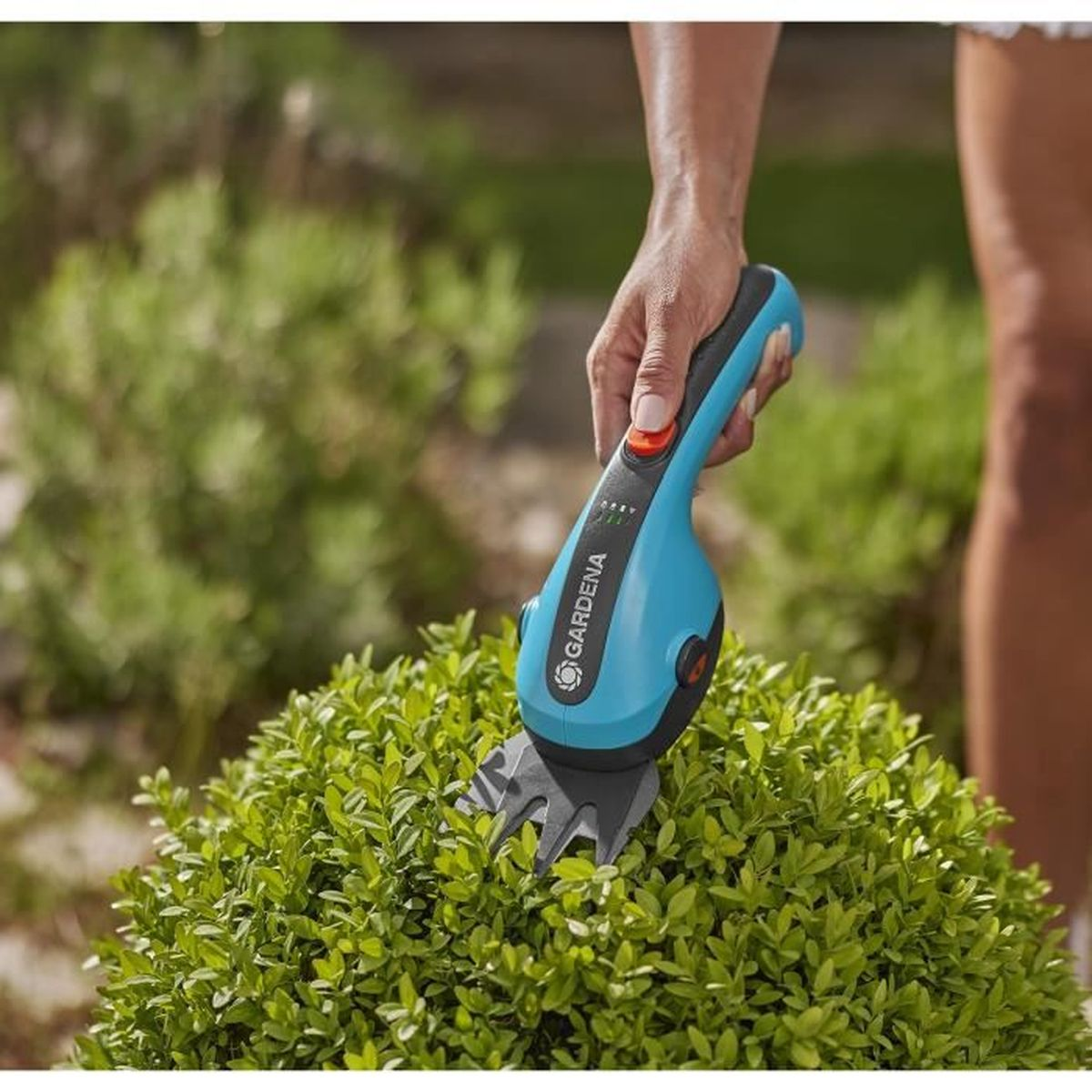 Osoba przycinająca zielony krzew niebieskimi nożycami elektrycznymi. Nożyce trzymane są w prawej ręce.
