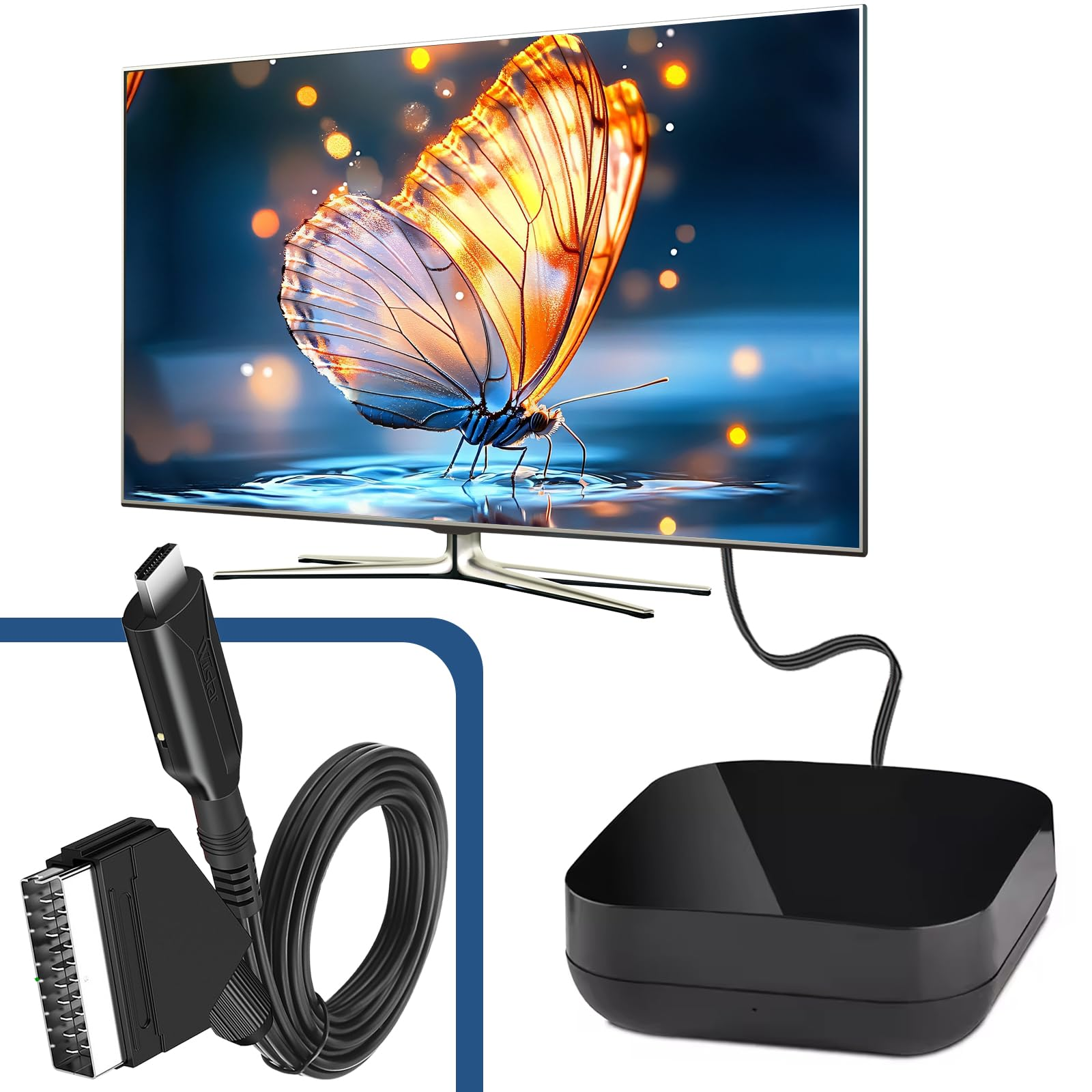 TV-Bildschirm mit Schmetterlingsbild. HDMI-Kabel und ein schwarzer Konverter sind angeschlossen.