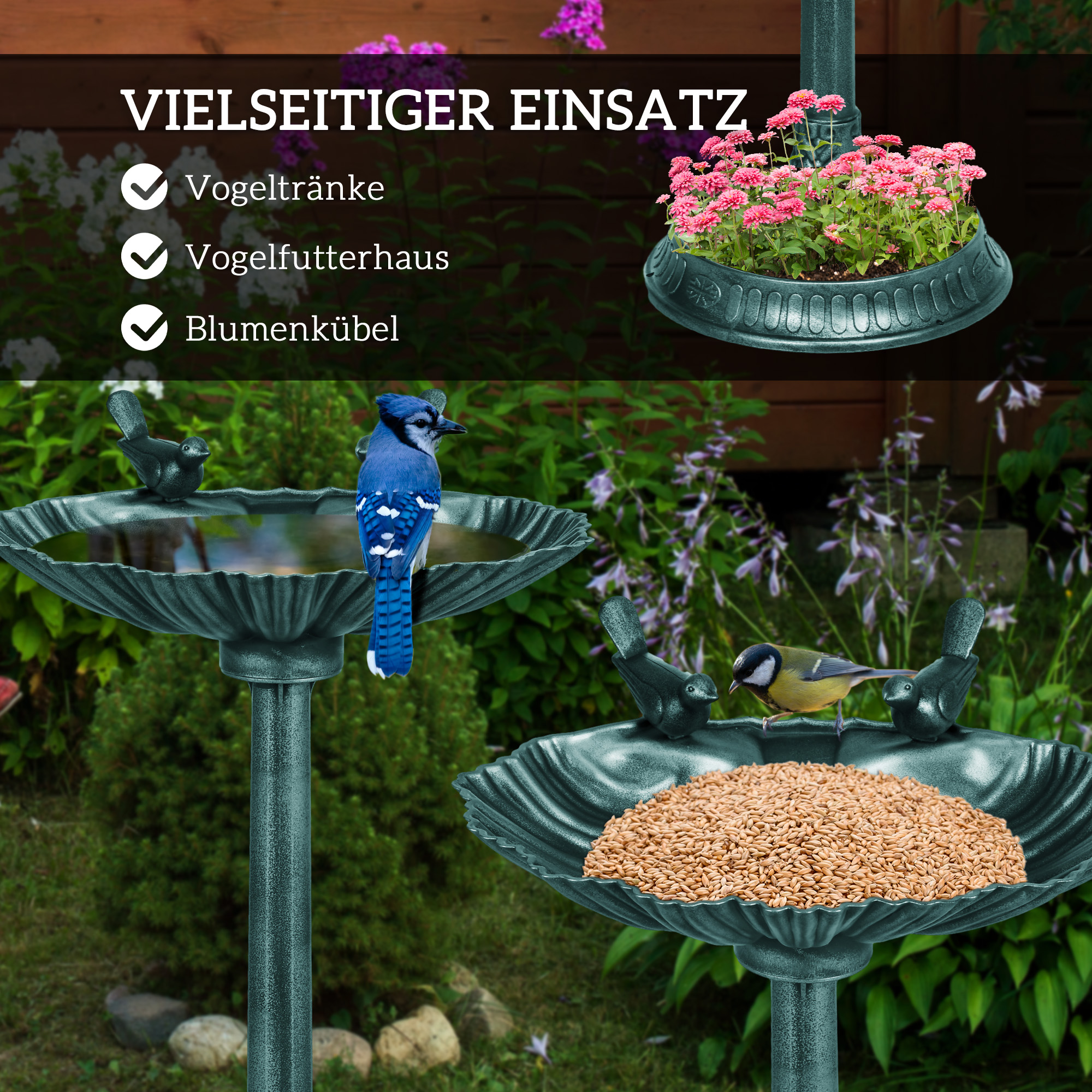 Vogelbad mit Vögeln und Samen. Zwei Vogelbäder und ein Vogelfutterhaus mit Blumen.
