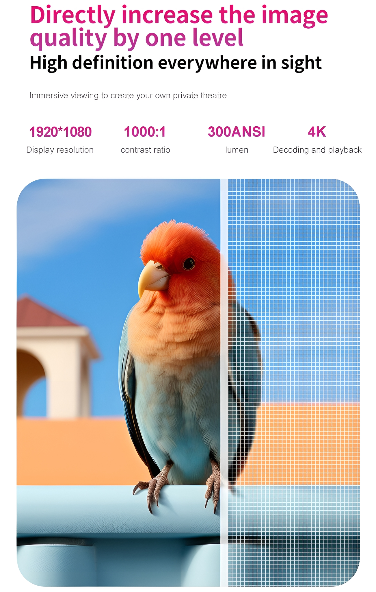 Bild eines Vogels auf blauem Hintergrund. Text zeigt Auflösung, Kontrastverhältnis, Lumen und 4K.